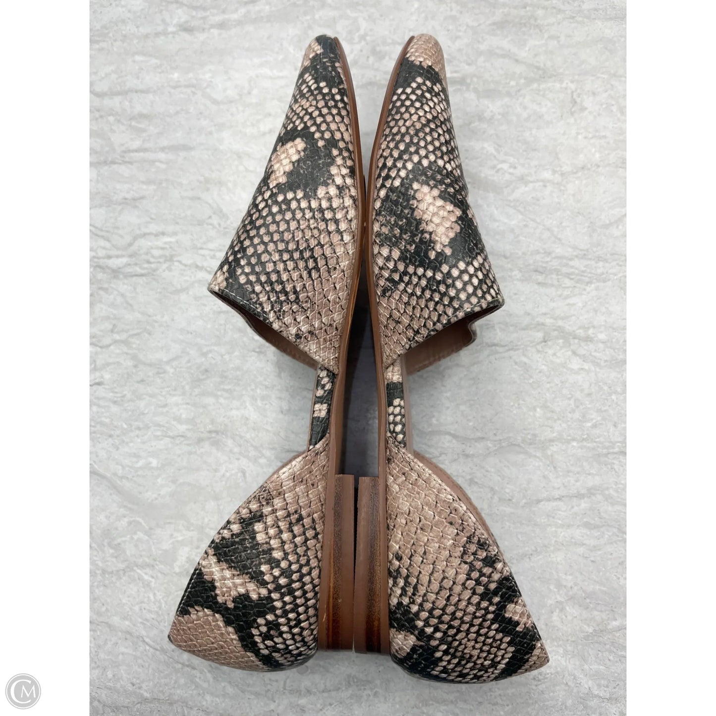 Shoes Flats By Steve Madden In Animal Print, Size: 10