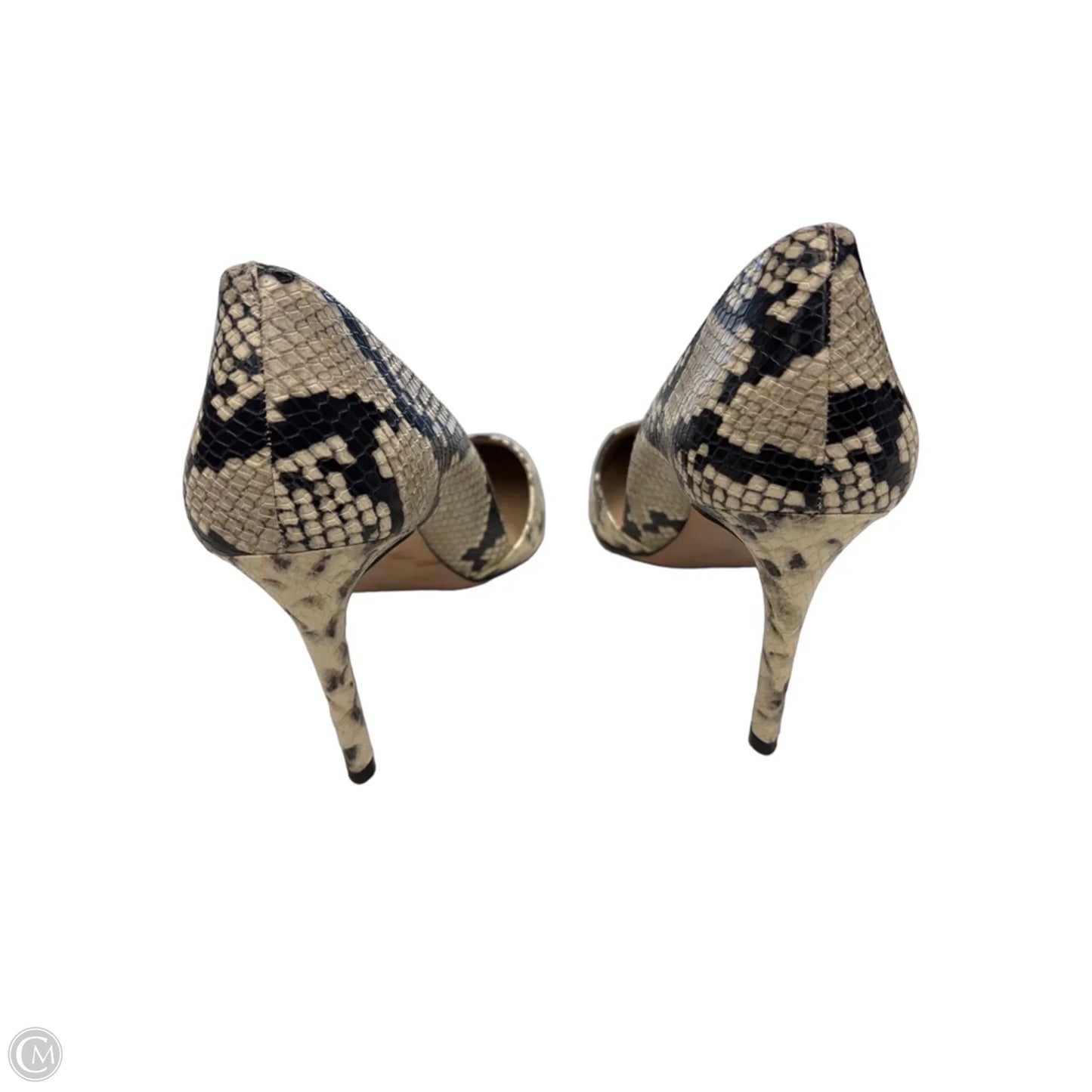 Shoes Heels Stiletto By Ann Taylor In Animal Print, Size: 9.5