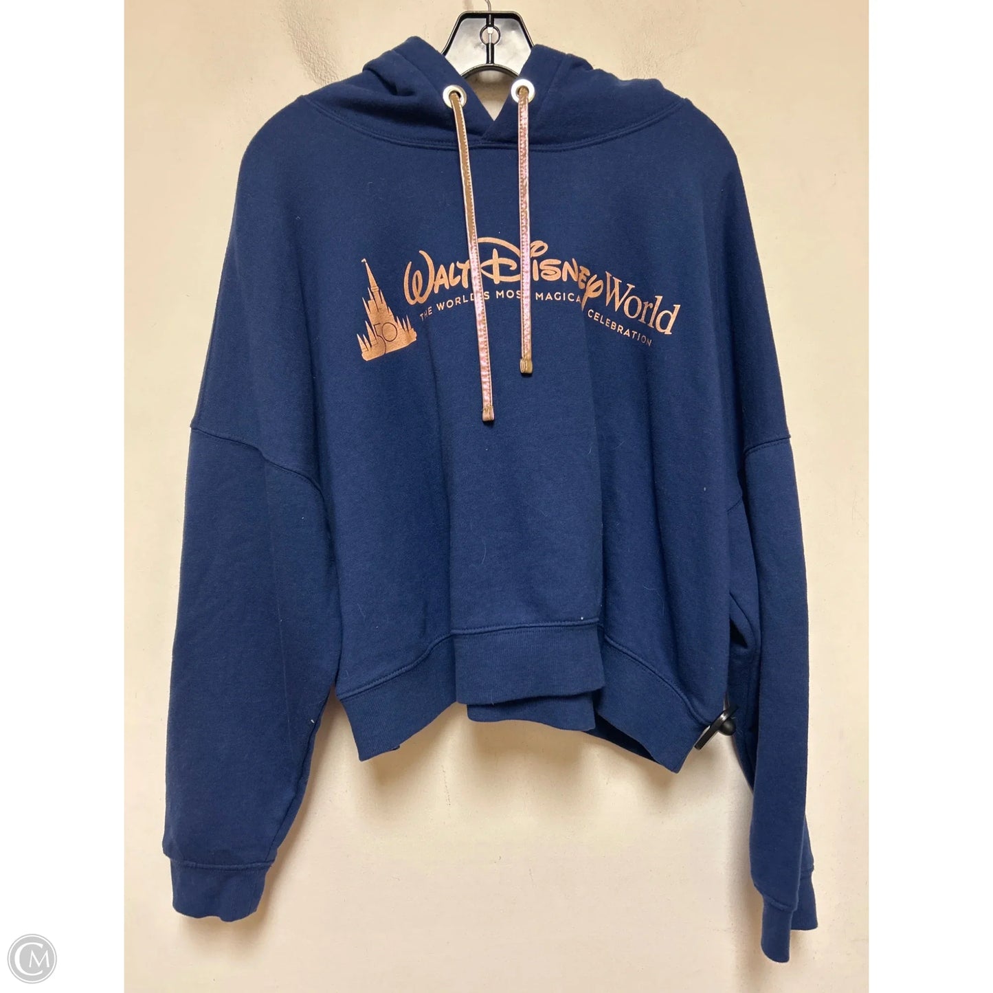 Sweatshirt Hoodie By Walt Disney In Navy, Size: Xl