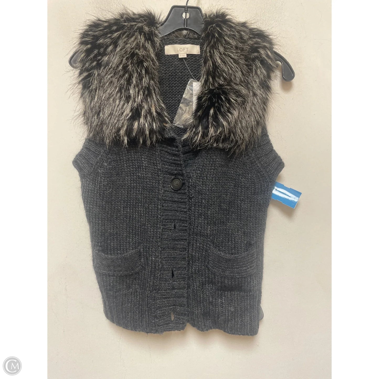 Vest Other By Loft In Grey, Size: Xs