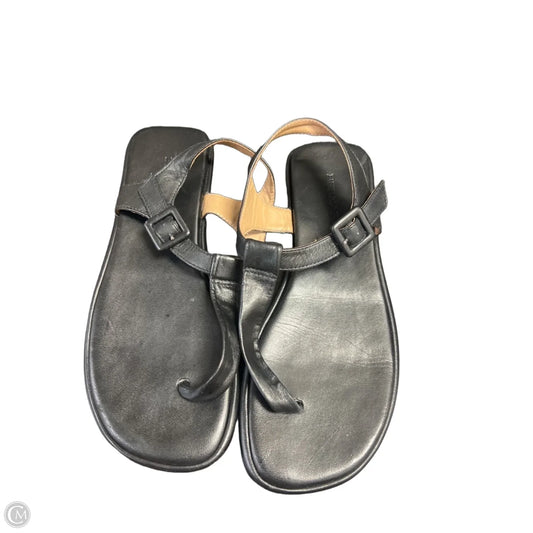 Sandals Flats By Bernardo In Black, Size: 7