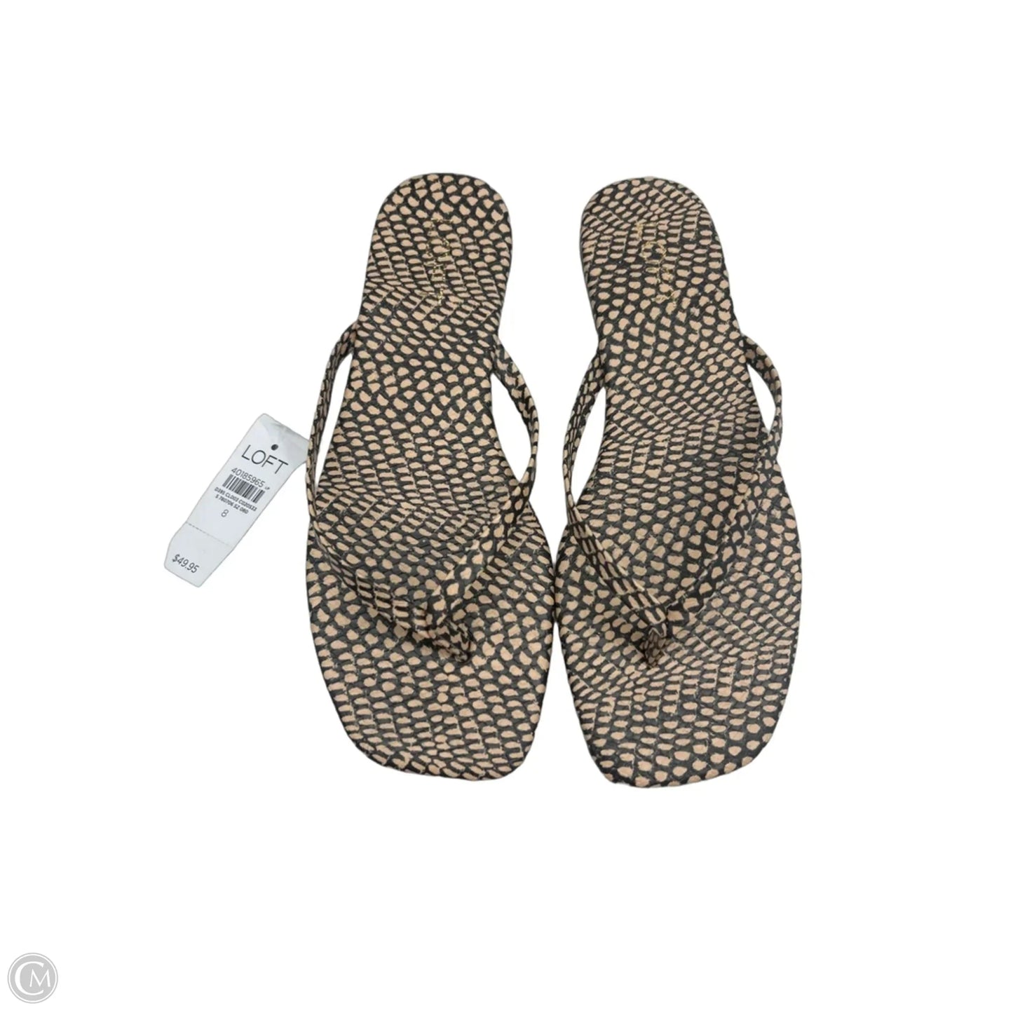 Sandals Flats By Loft In Black & Tan, Size: 8