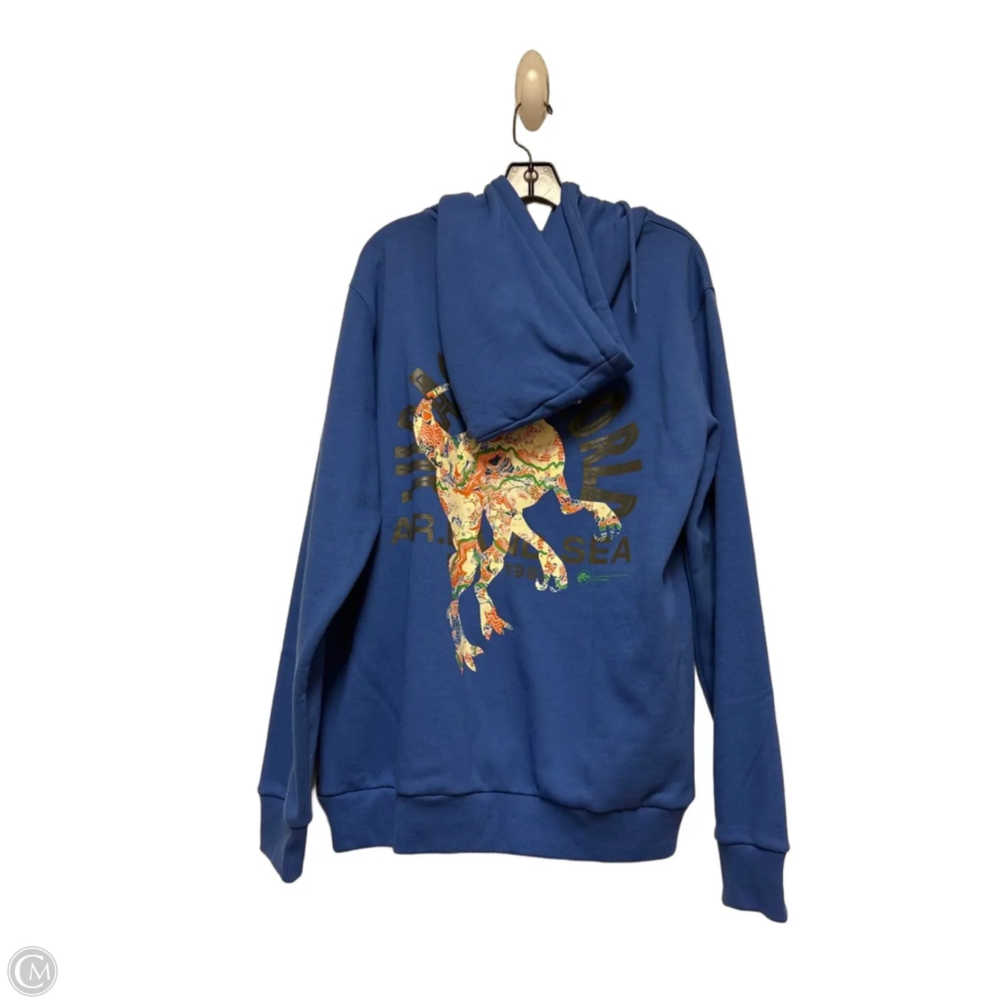 Sweatshirt Hoodie By Clothes Mentor In Blue, Size: L
