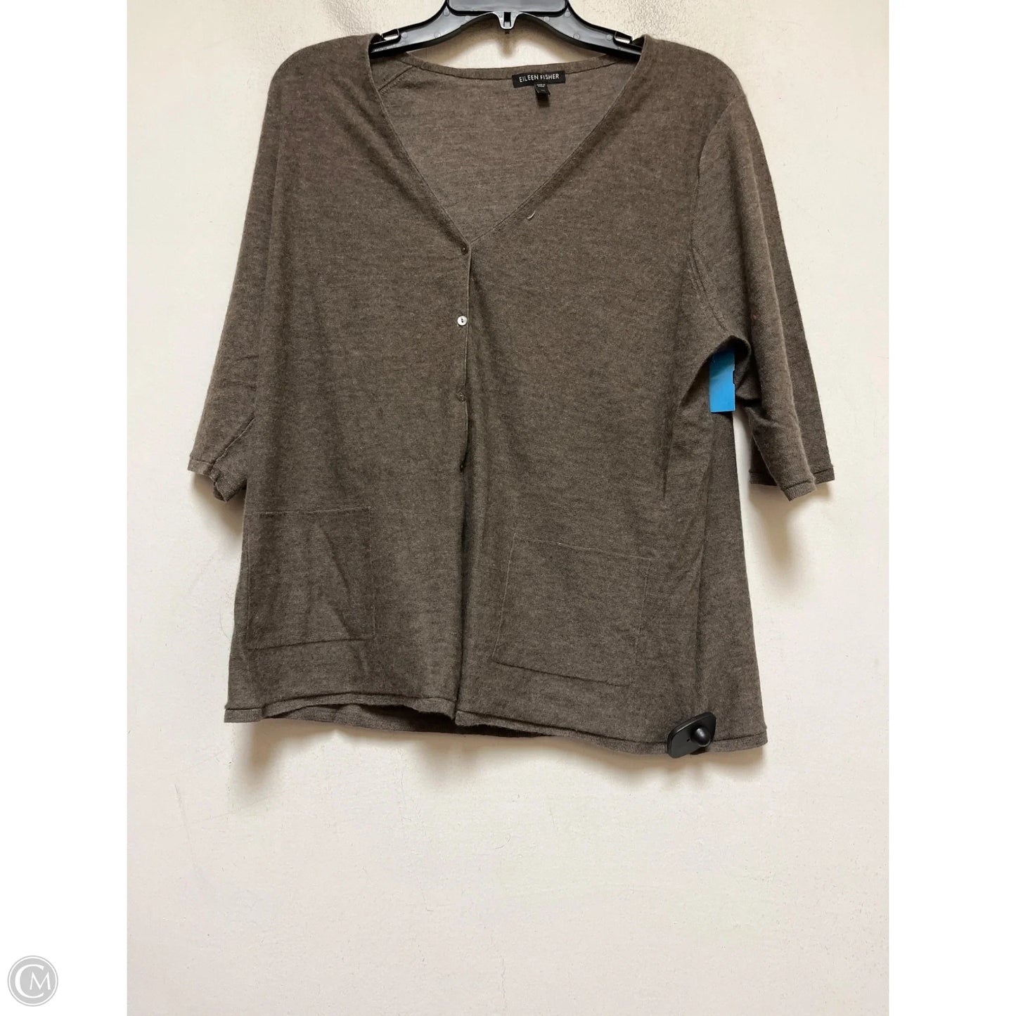 Top Long Sleeve By Eileen Fisher In Brown, Size: Xl