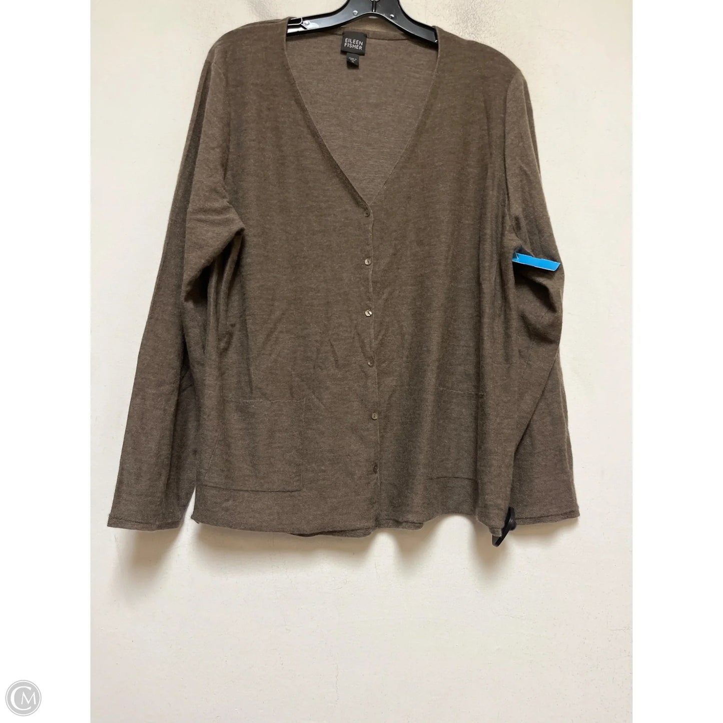 Top Long Sleeve By Eileen Fisher In Brown, Size: Xl