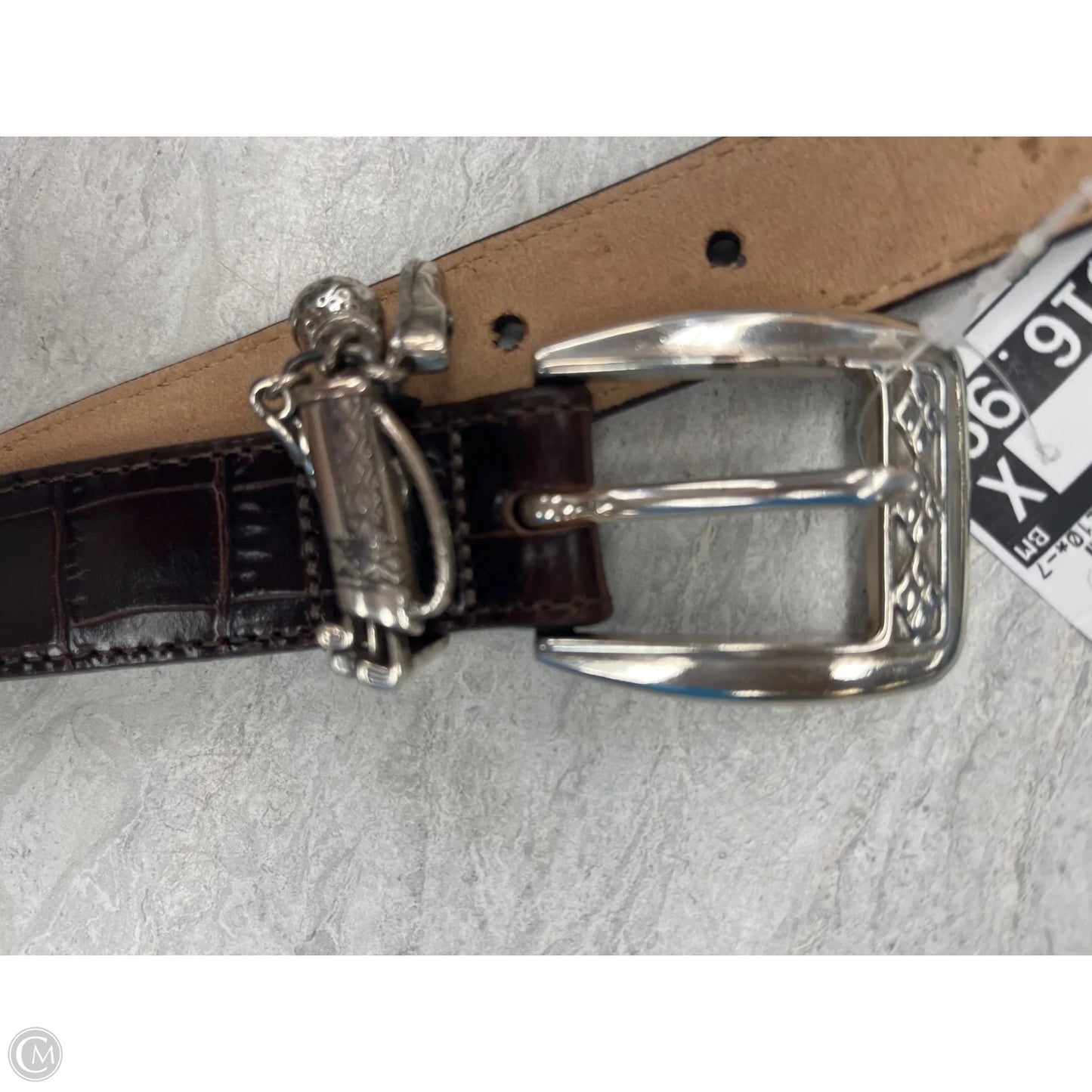 Belt By Brighton