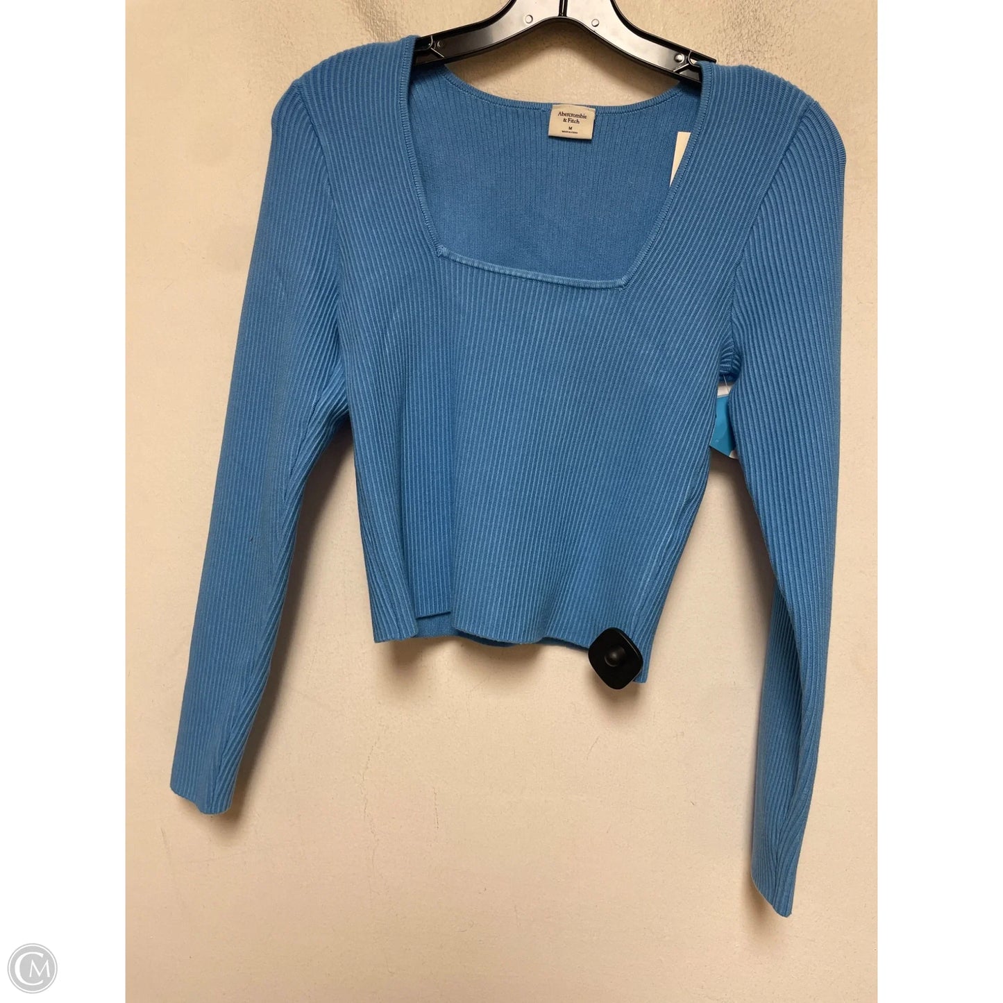 Top Long Sleeve By Abercrombie And Fitch In Blue, Size: M