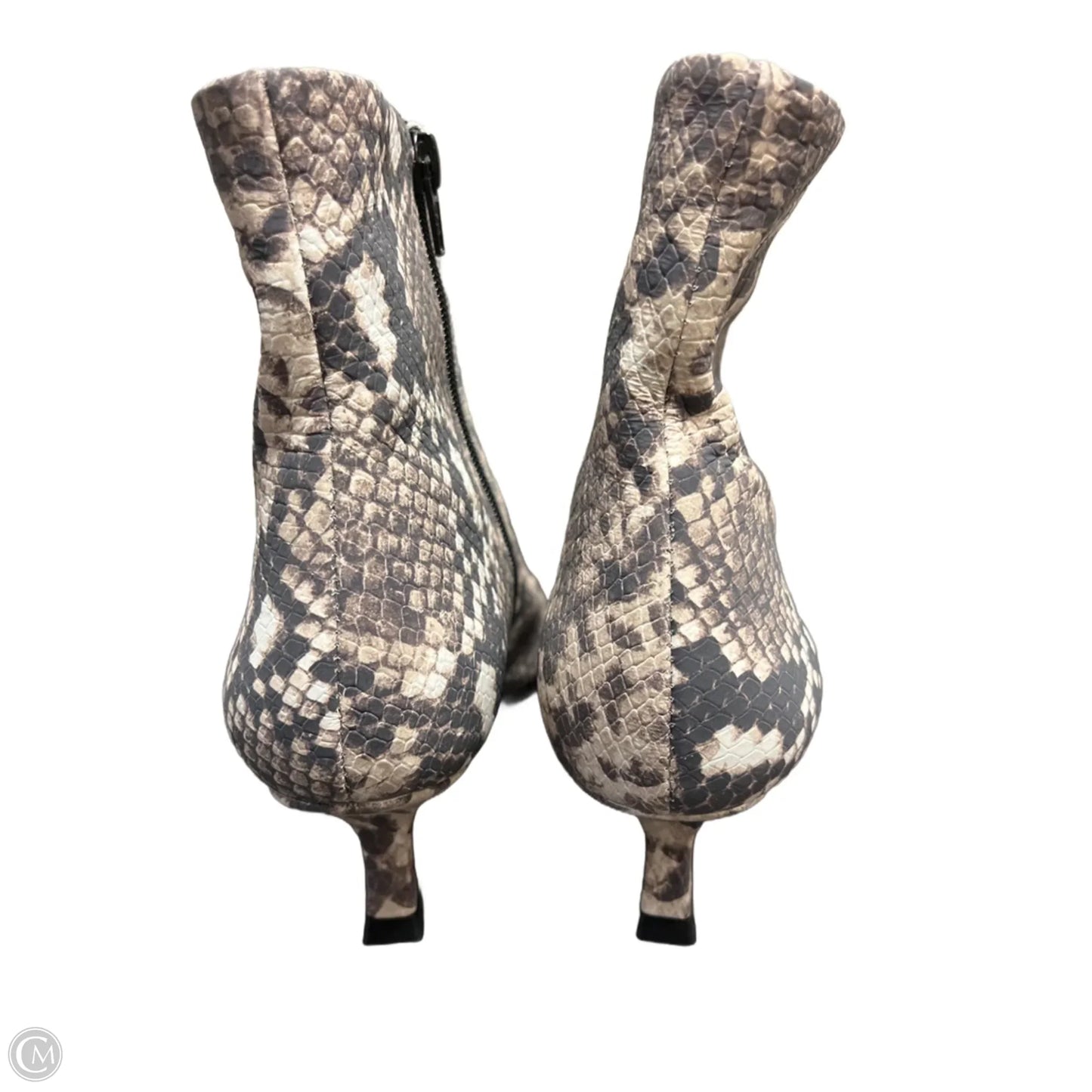 Boots Ankle Heels By Gianni Bini In Snakeskin Print, Size: 6.5