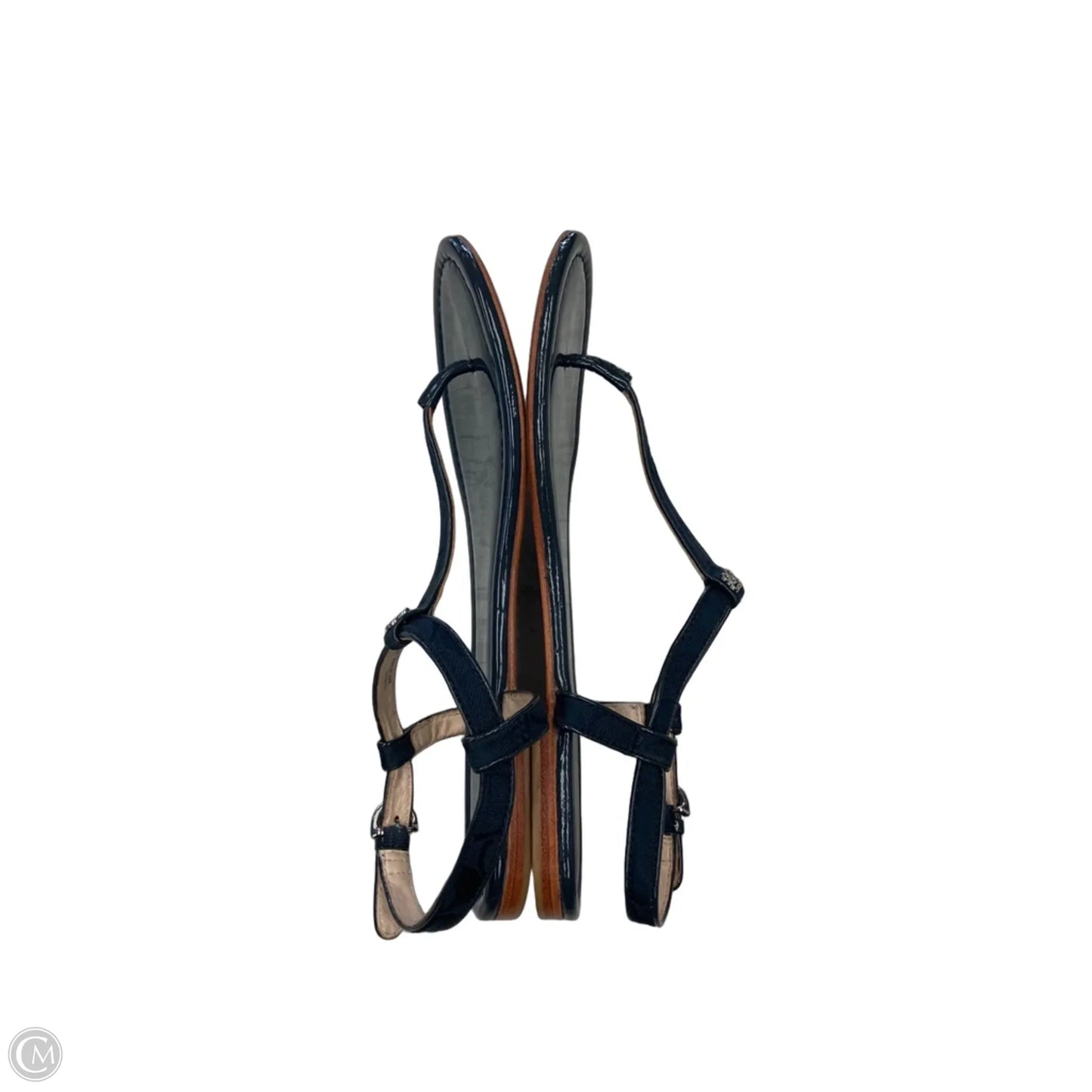 Sandals Designer By Coach In Blue, Size: 10