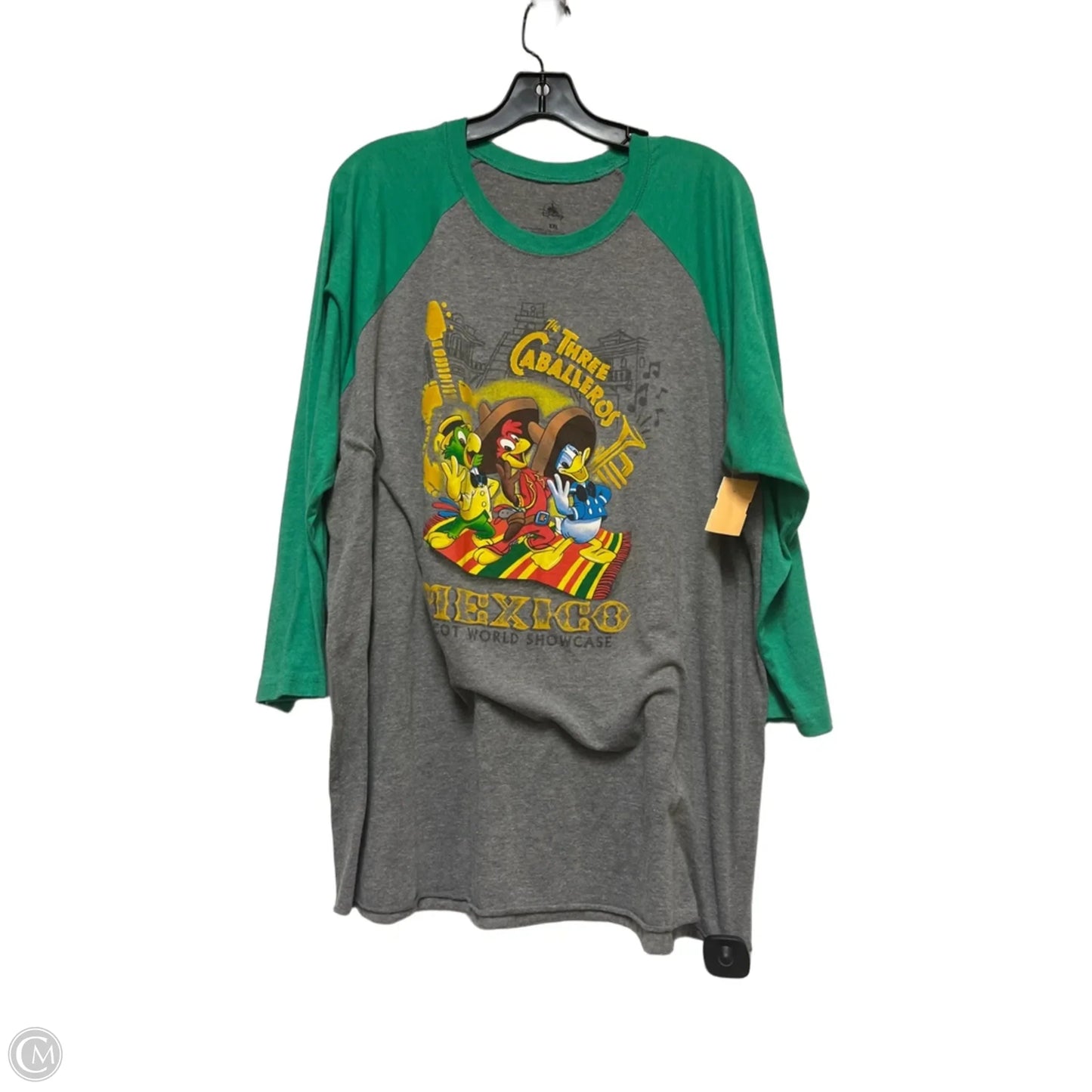 Top Long Sleeve By Disney Store In Green & Grey, Size: 2x