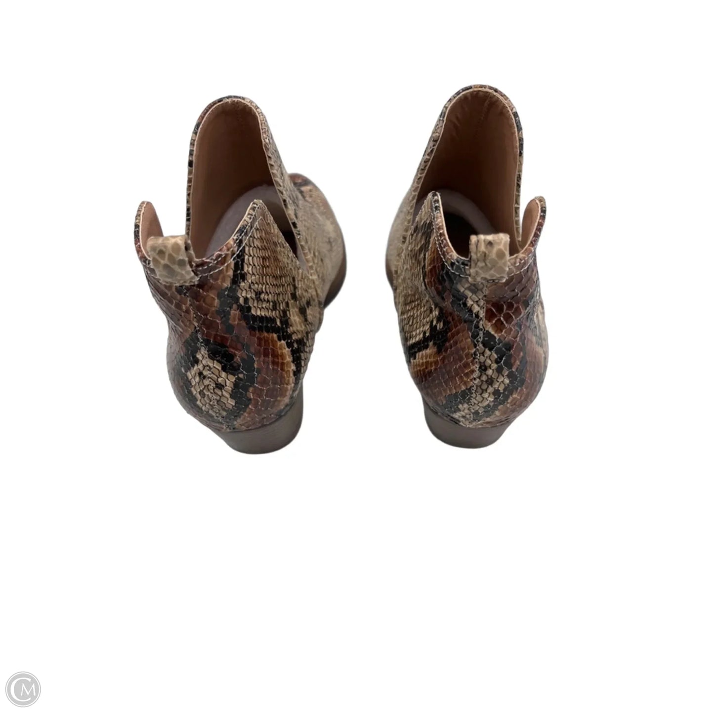 Boots Ankle Heels By Cl By Chinese Laundry In Snakeskin Print, Size: 7
