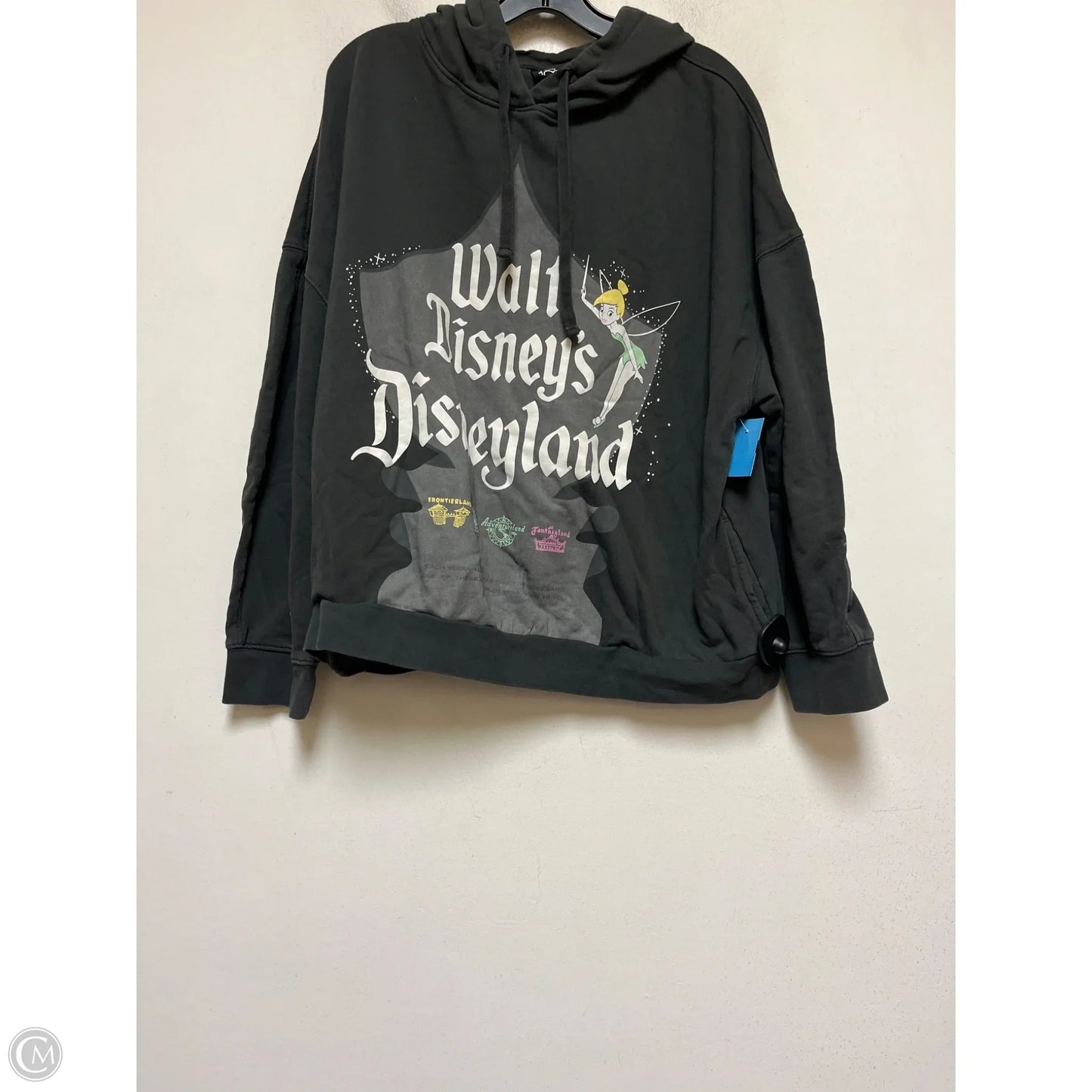 Sweatshirt Hoodie By Disney Store In Grey, Size: Xl