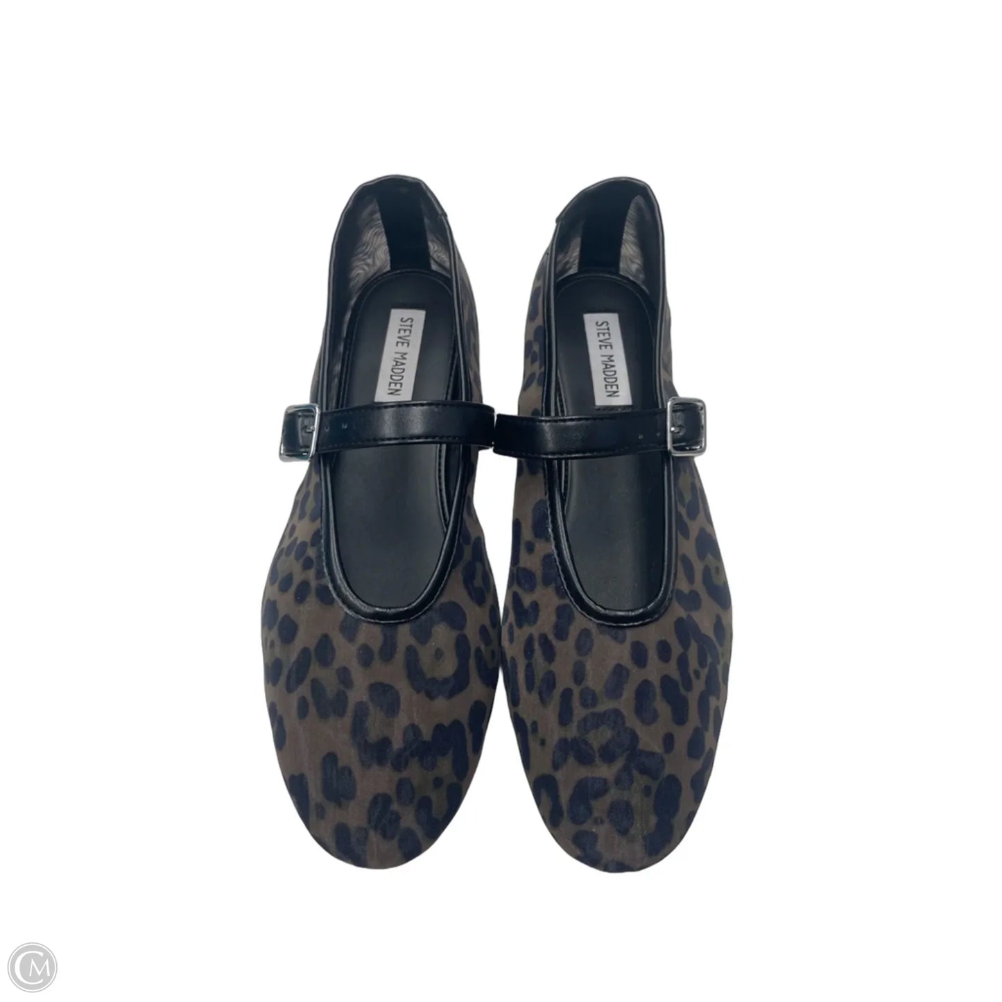 Shoes Flats By Steve Madden In Animal Print, Size: 10