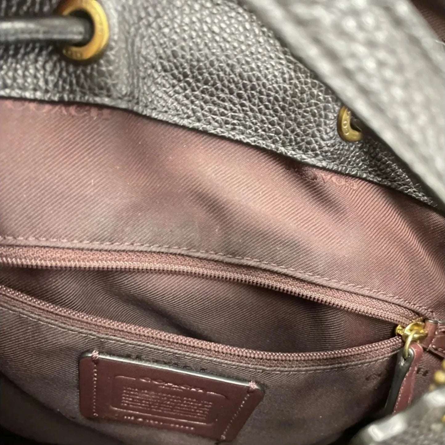 Backpack Designer By Coach, Size: Medium