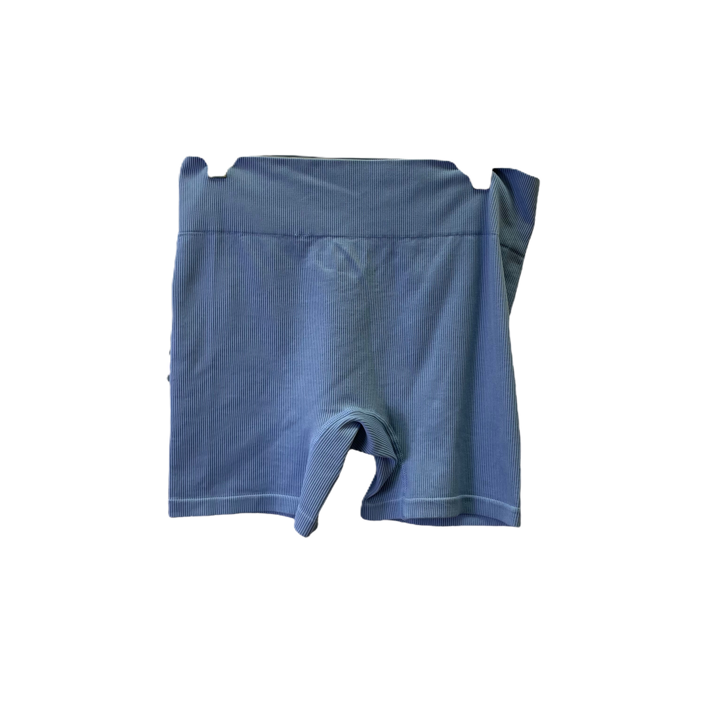 Blue Shorts By Wild Fable, Size: L