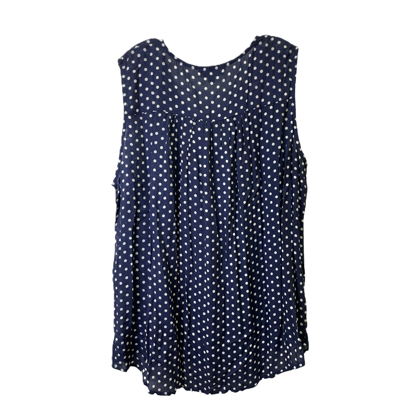 Blue Top Sleeveless By Suzanne Betro, Size: 3x