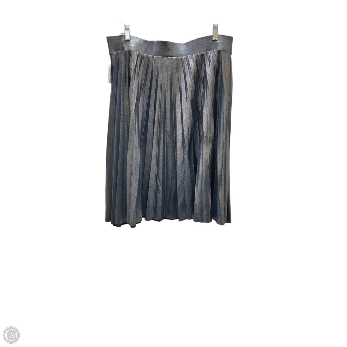 Skirt Midi By Simply Styled In Blue, Size: Xl