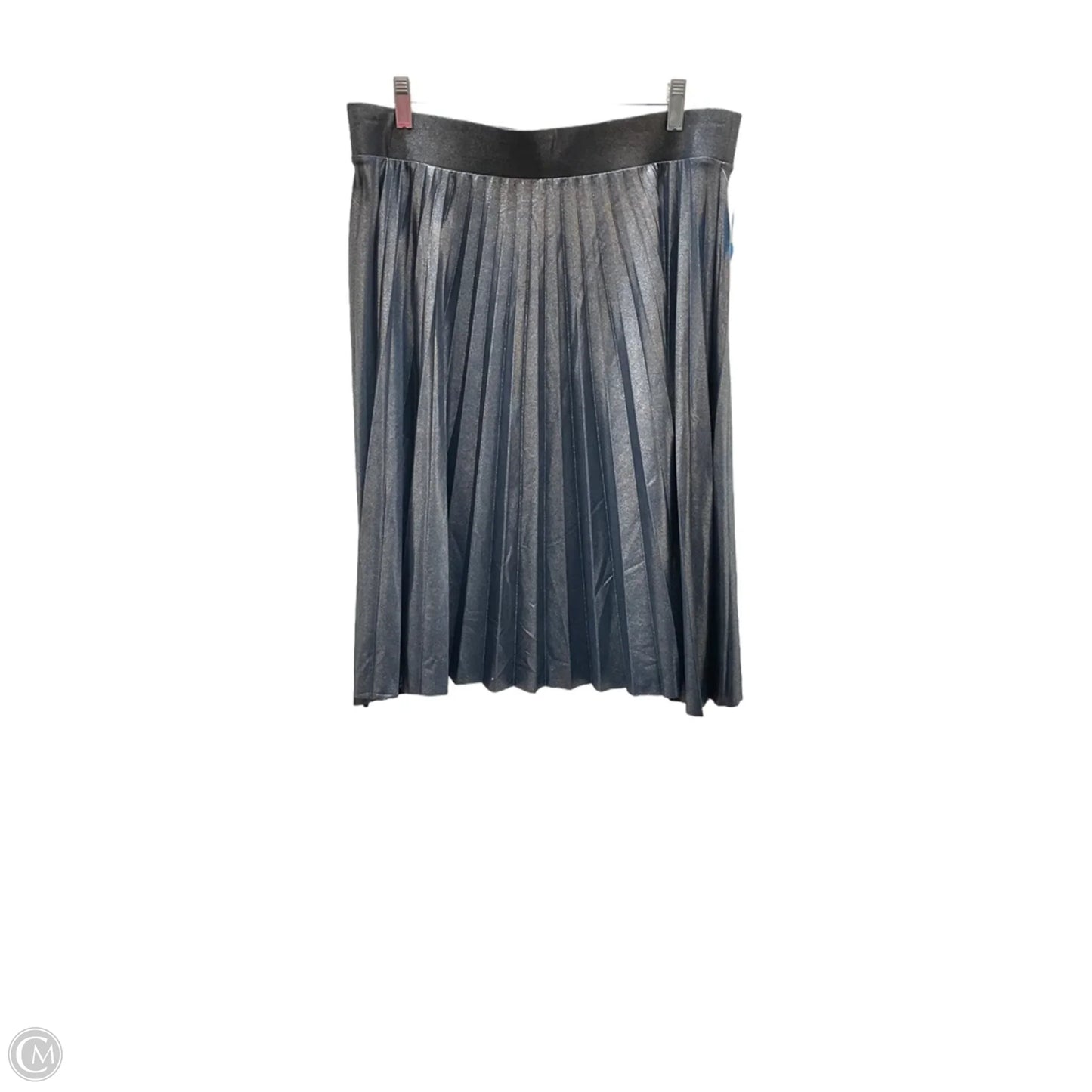 Skirt Midi By Simply Styled In Blue, Size: Xl