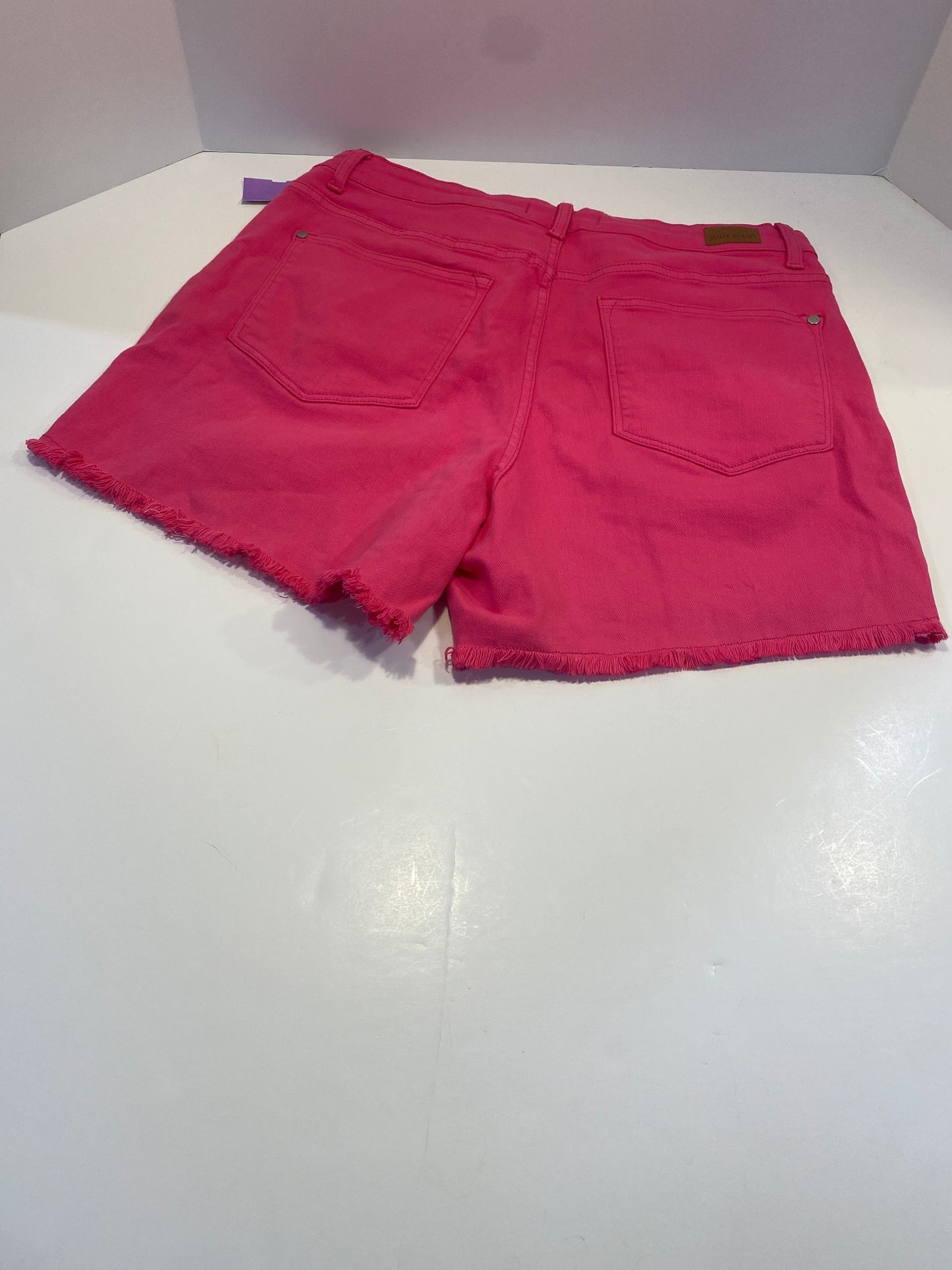 Pink Shorts Judy Blue, Size 1x