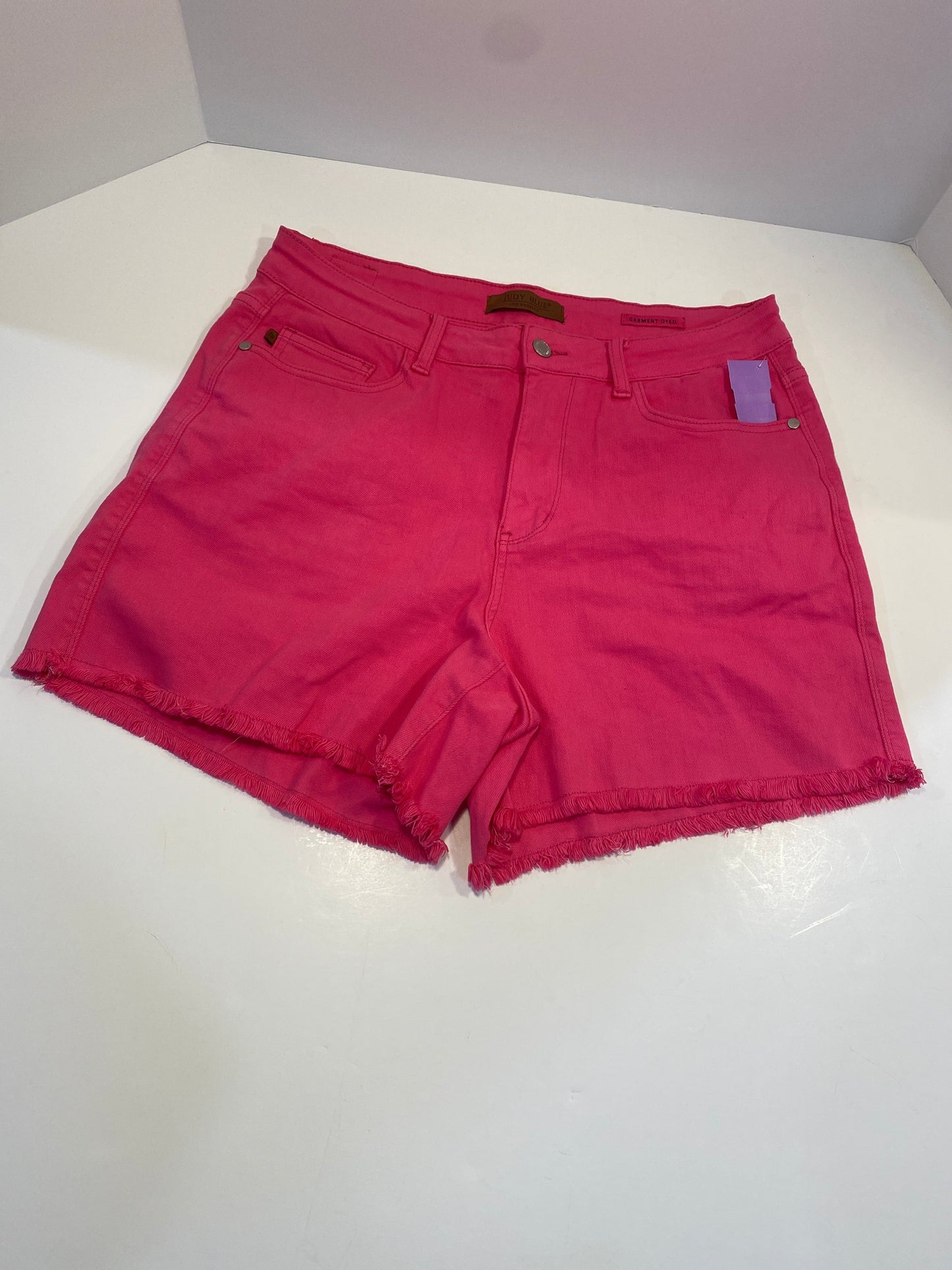 Pink Shorts Judy Blue, Size 1x