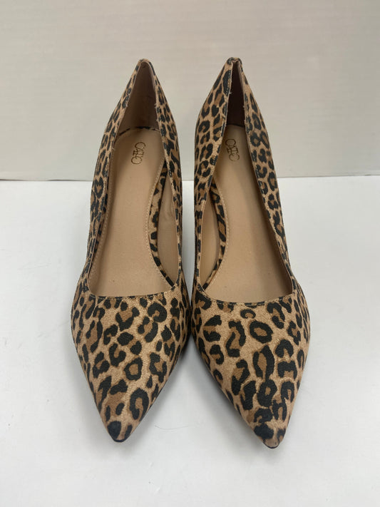 Shoes Heels Stiletto By Cato In Animal Print, Size: 12