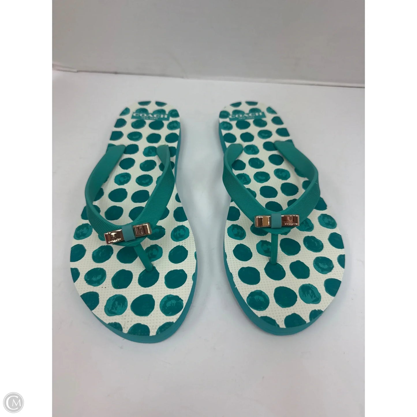 Sandals Designer By Coach In Aqua, Size: 9