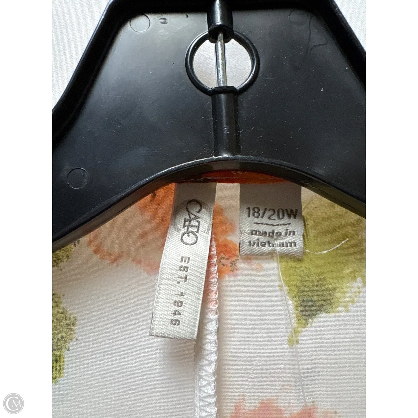 Swimwear Cover-up By Cato In Green, Size: 1x