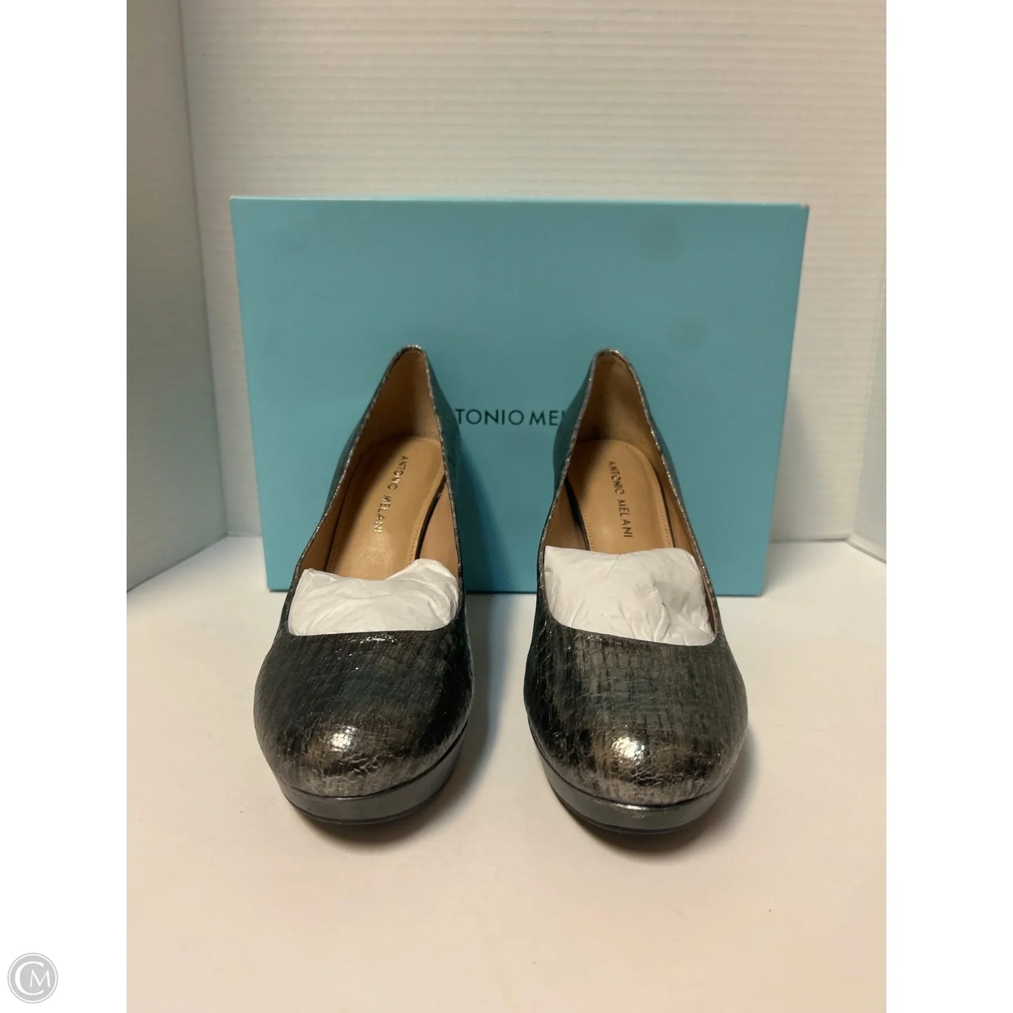 Shoes Heels Stiletto By Antonio Melani In Silver, Size: 9