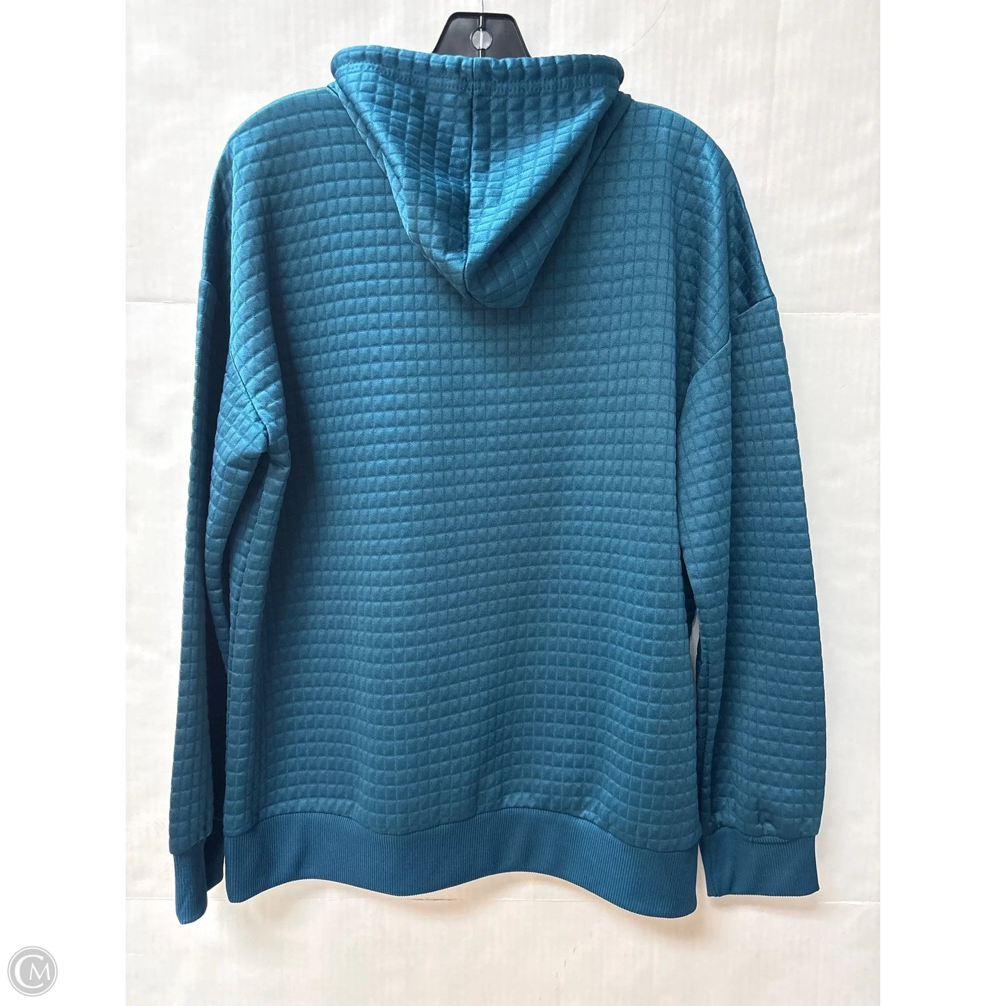 Sweatshirt Hoodie By Clothes Mentor In Blue, Size: L