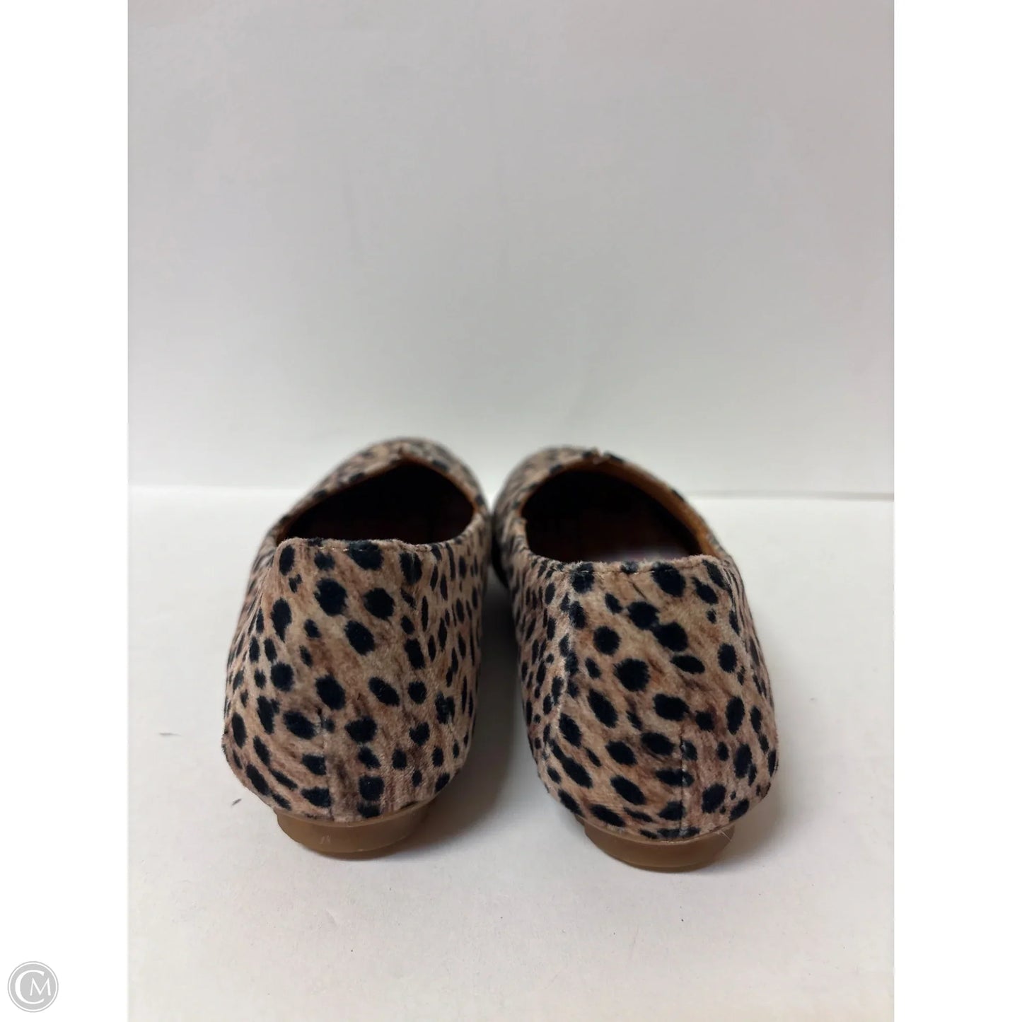 Shoes Flats By Born In Animal Print, Size: 6