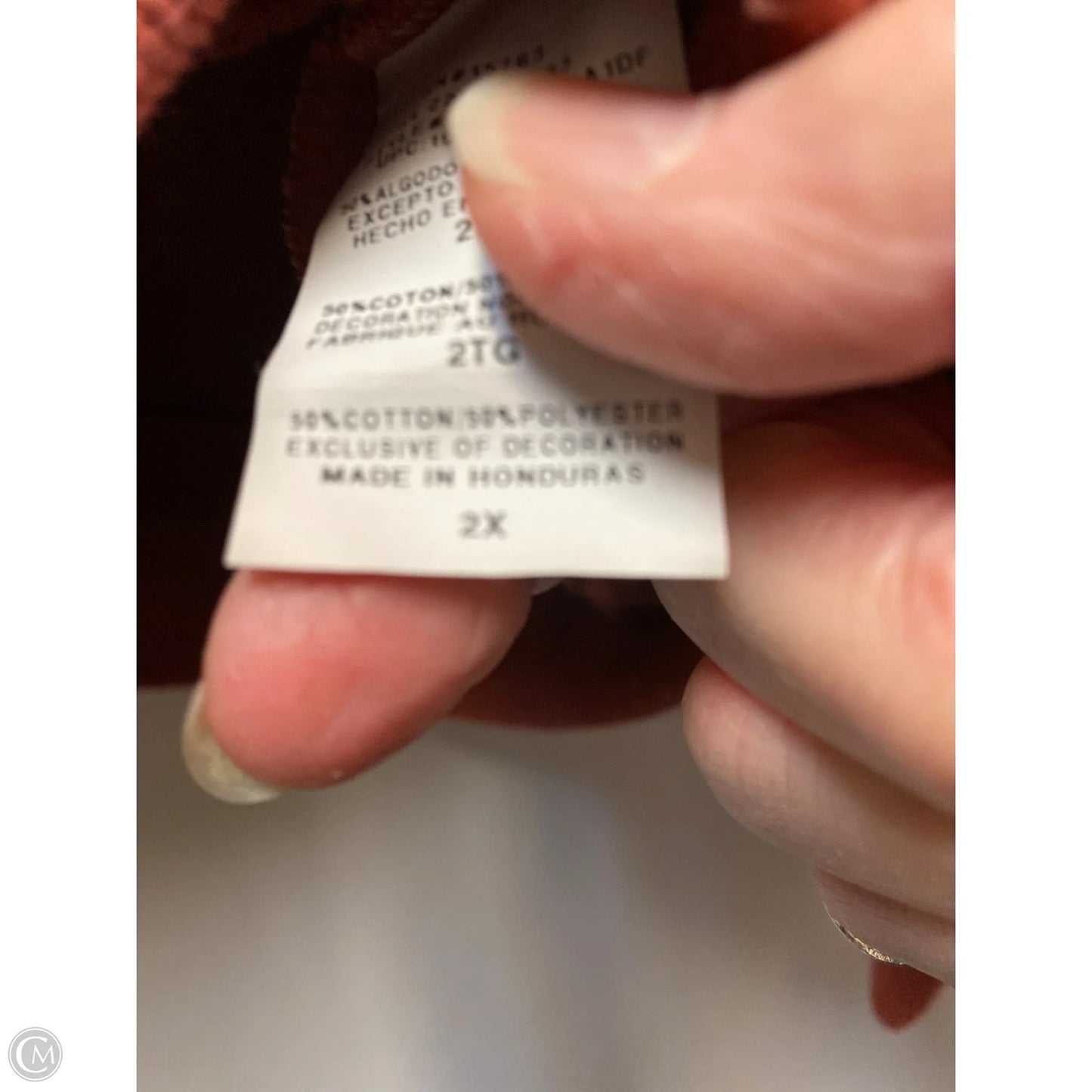 Sweatshirt Hoodie By Champion In Mauve, Size: 2x