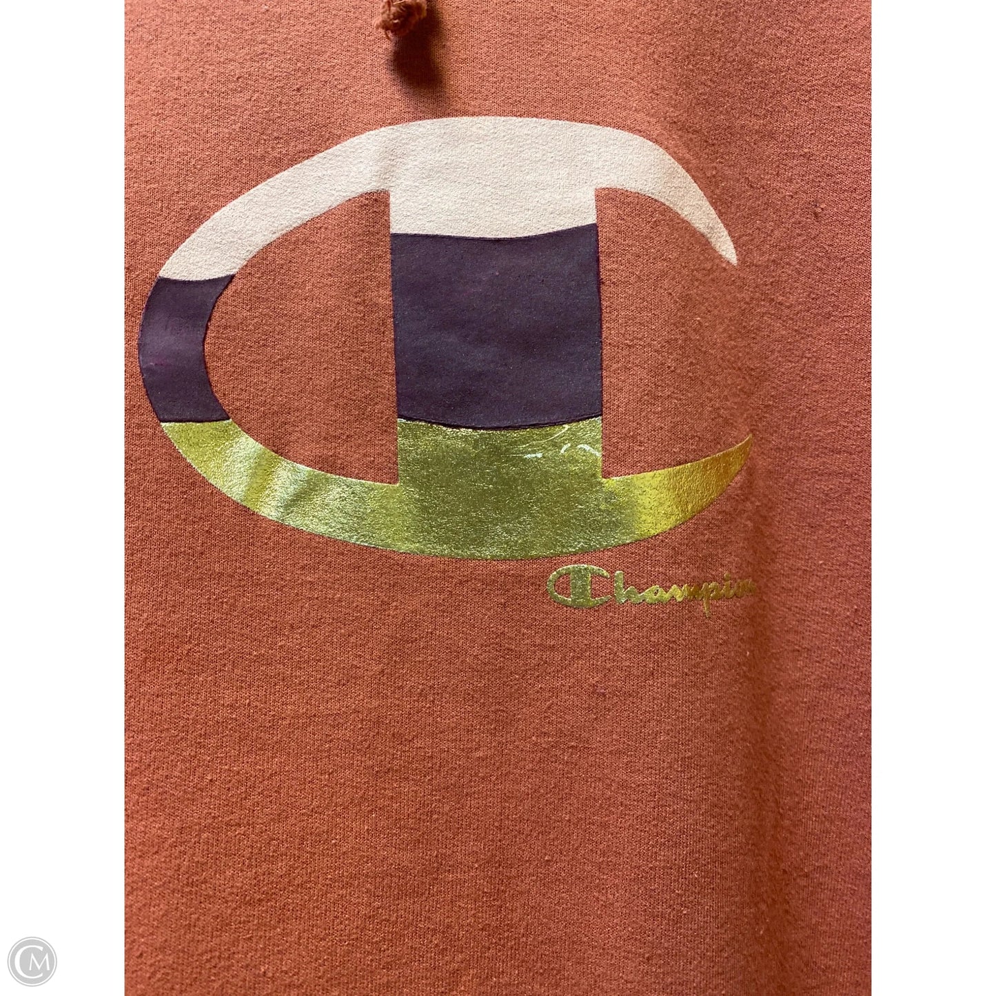 Sweatshirt Hoodie By Champion In Mauve, Size: 2x