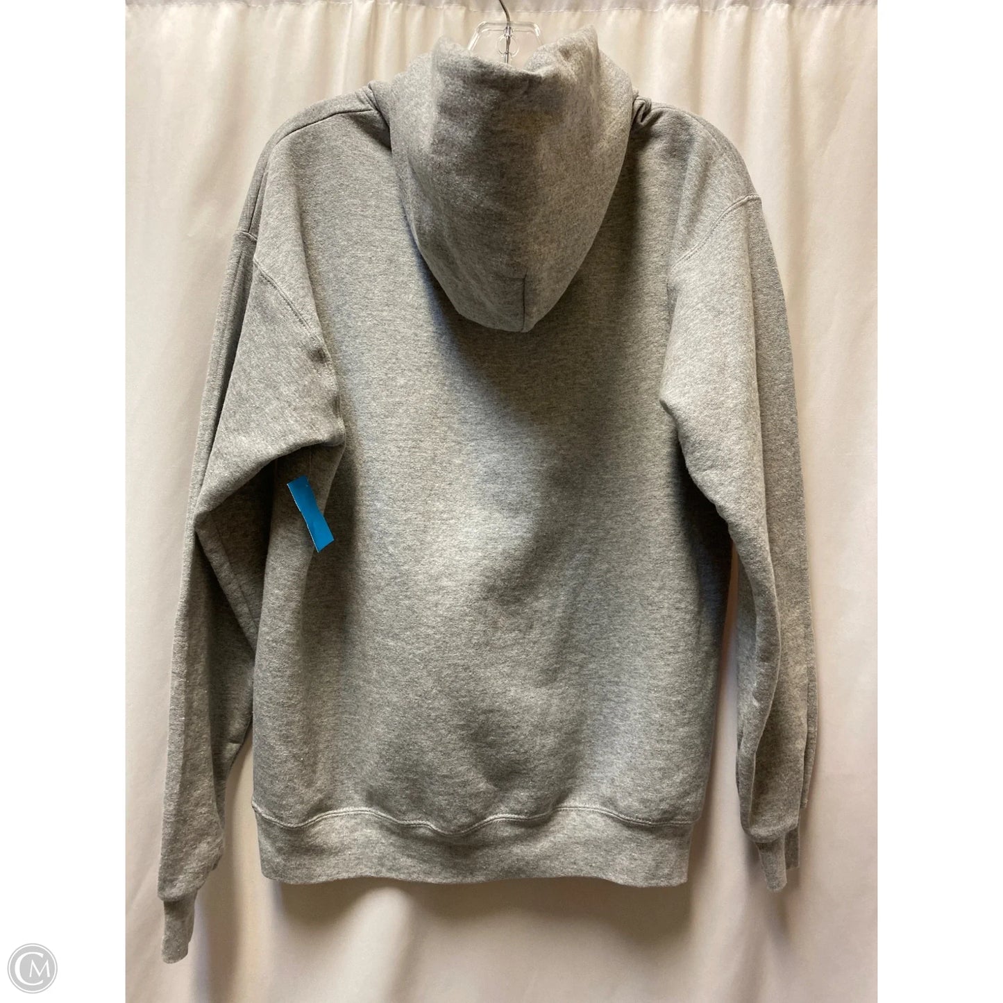 Sweatshirt Hoodie By Hanes In Grey, Size: M