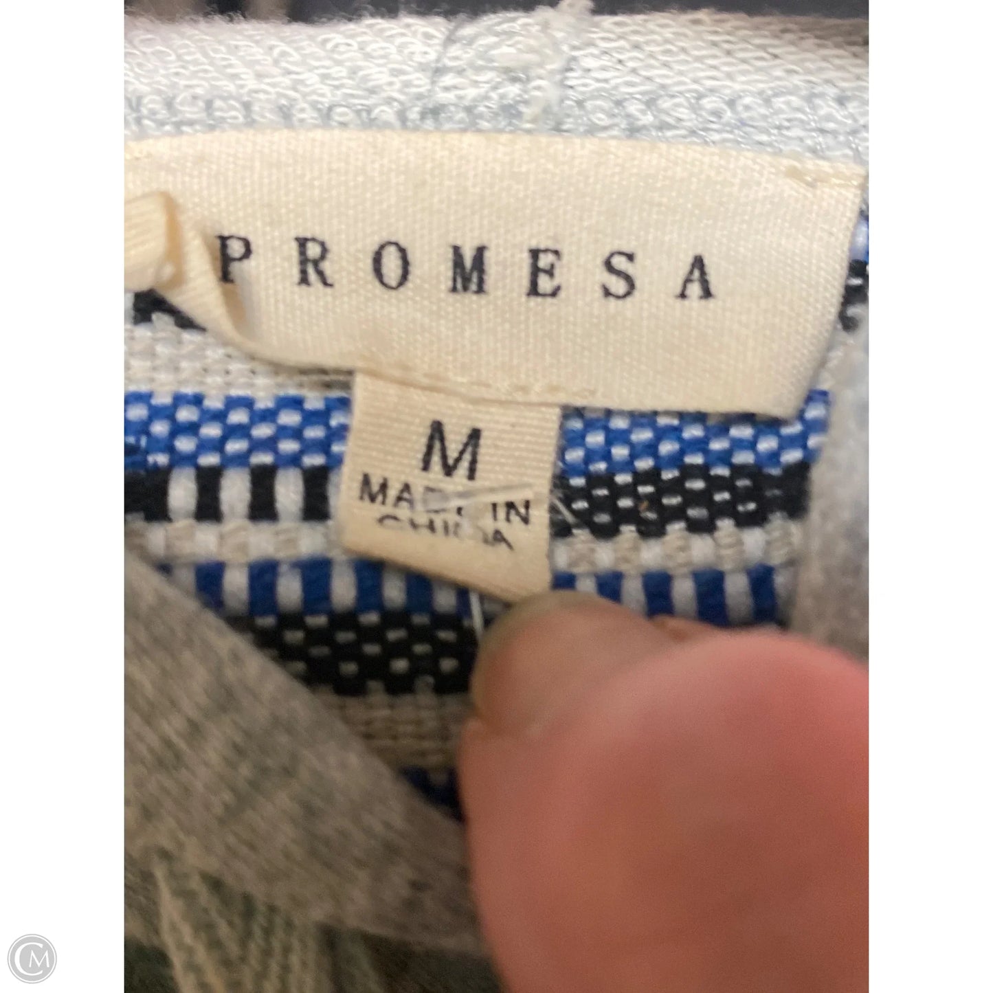 Sweatshirt Hoodie By Promesa In Grey, Size: M