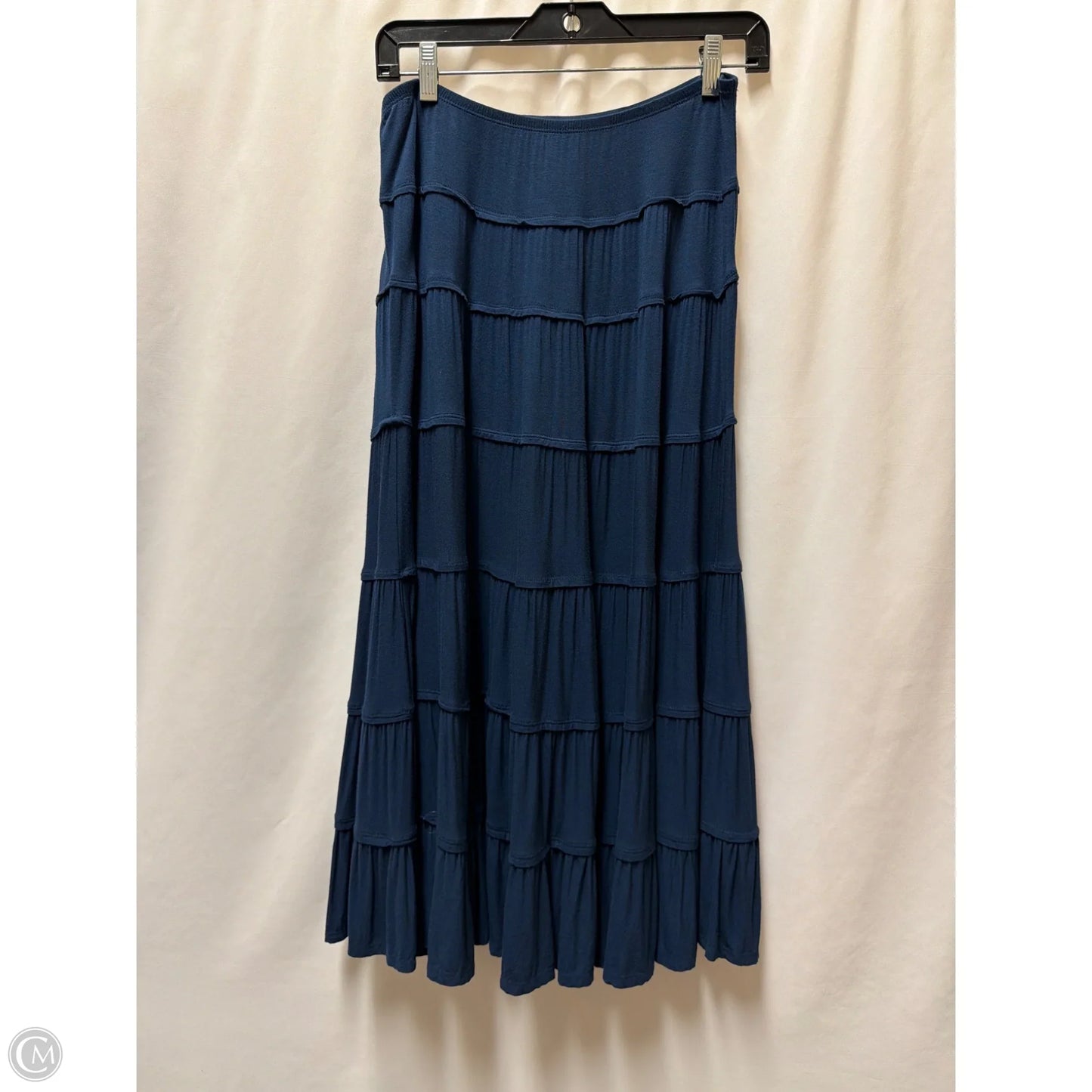 Skirt Maxi By Style And Company In Navy, Size: M
