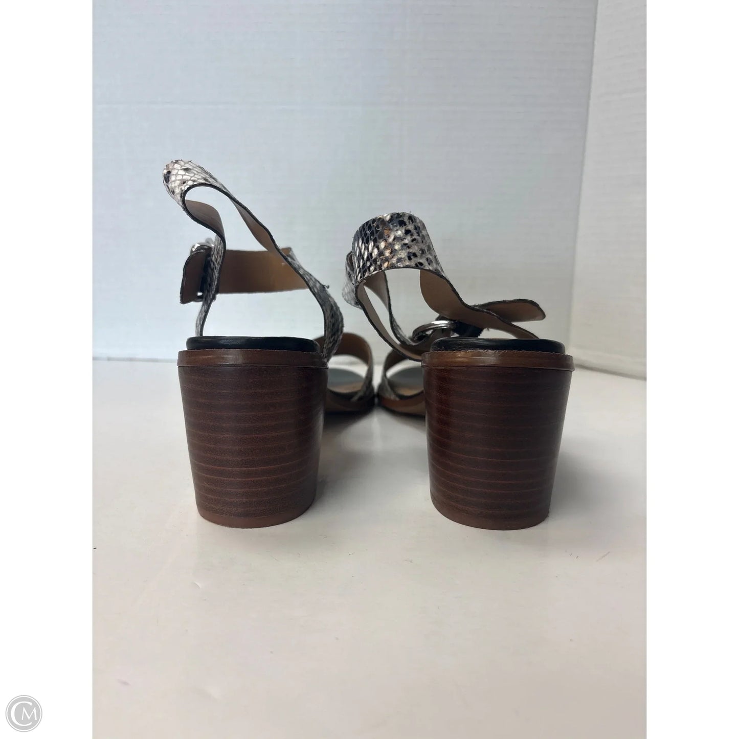 Shoes Heels Block By Franco Sarto In Animal Print, Size: 9