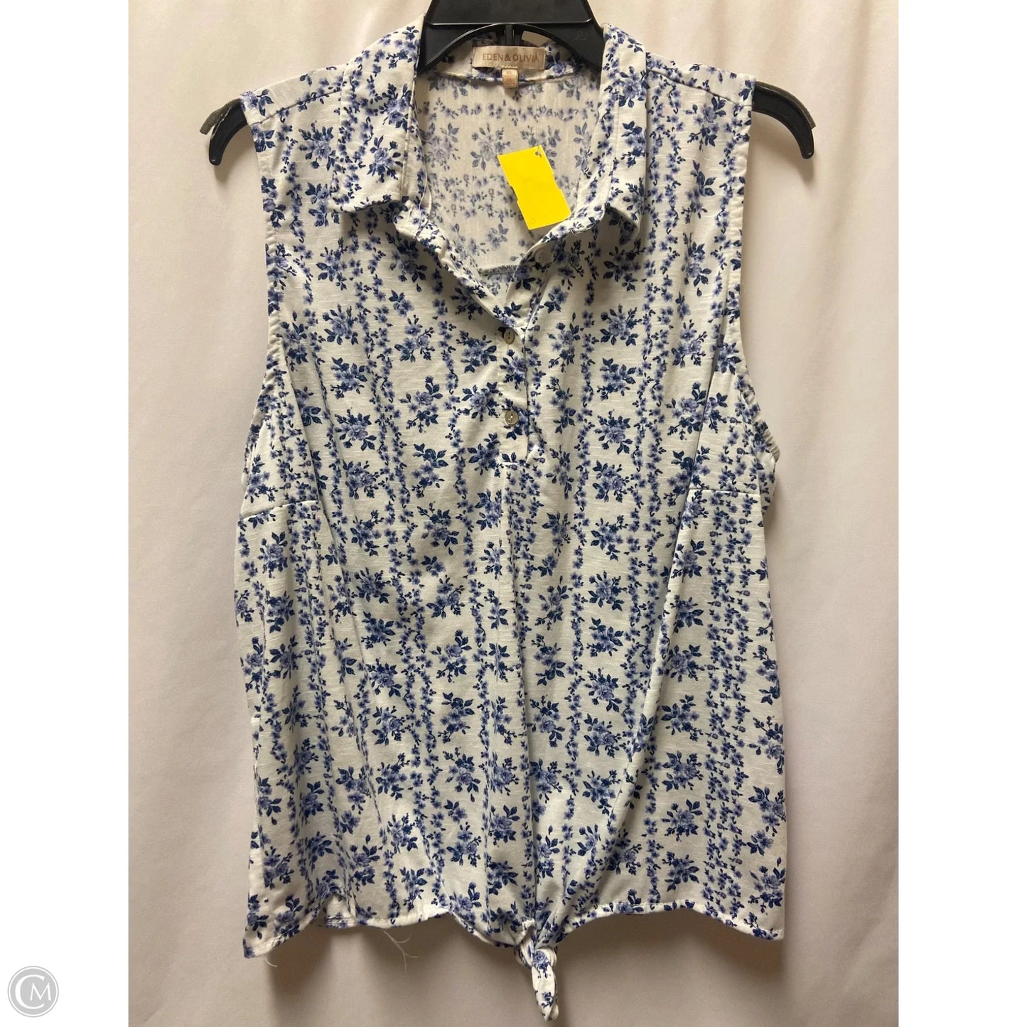 Top Sleeveless By Eden & Olivia In Blue & White, Size: Xl