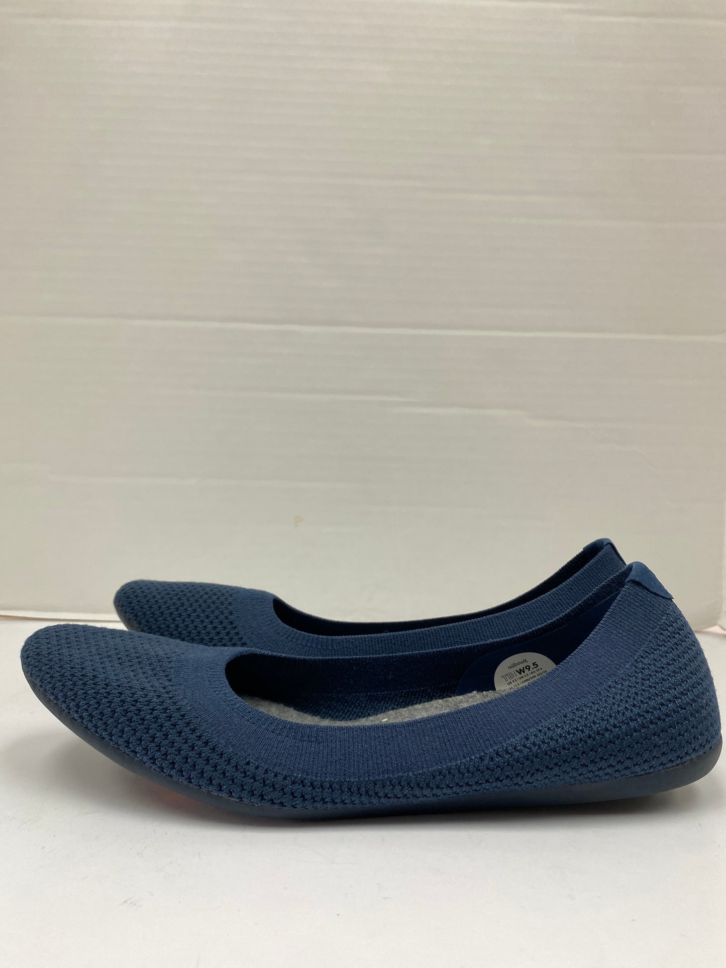 Shoes Flats By Allbirds  Size: 9.5