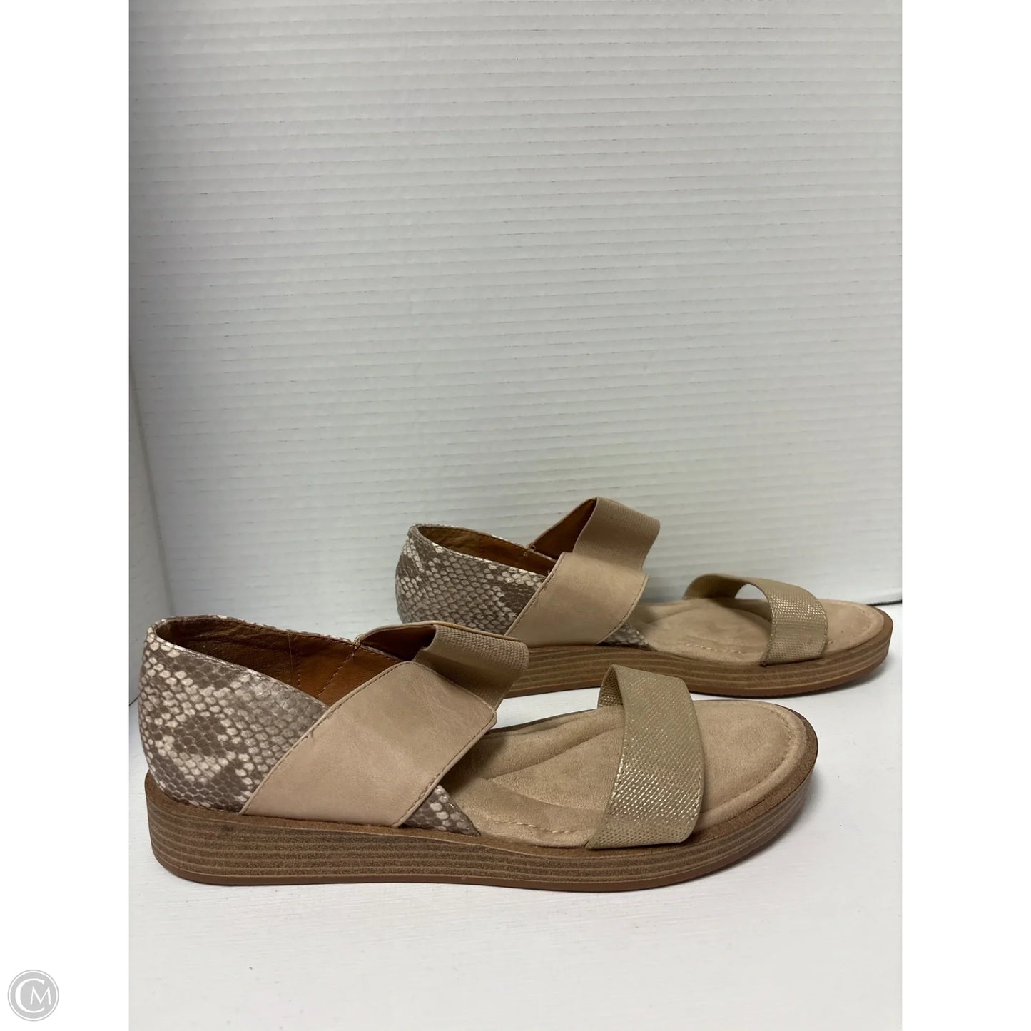 Shoes Flats By Sofft In Tan, Size: 8.5