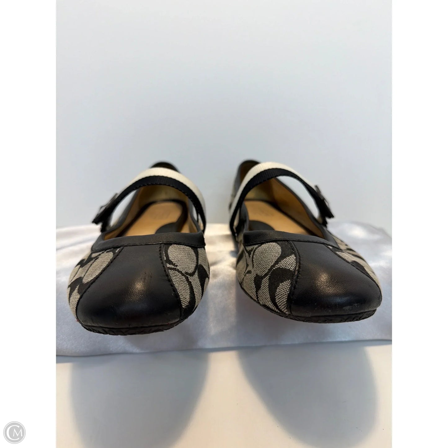 Shoes Designer By Coach In Brown, Size: 9