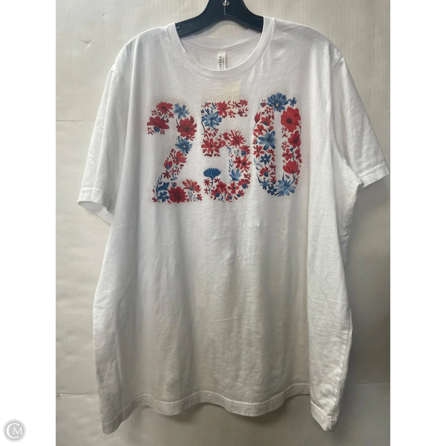 Top Short Sleeve By Canvas In White, Size: 2x