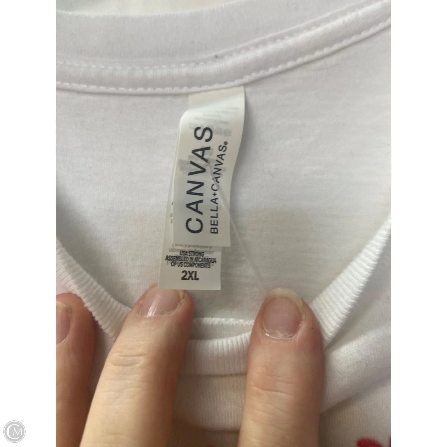 Top Short Sleeve By Canvas In White, Size: 2x