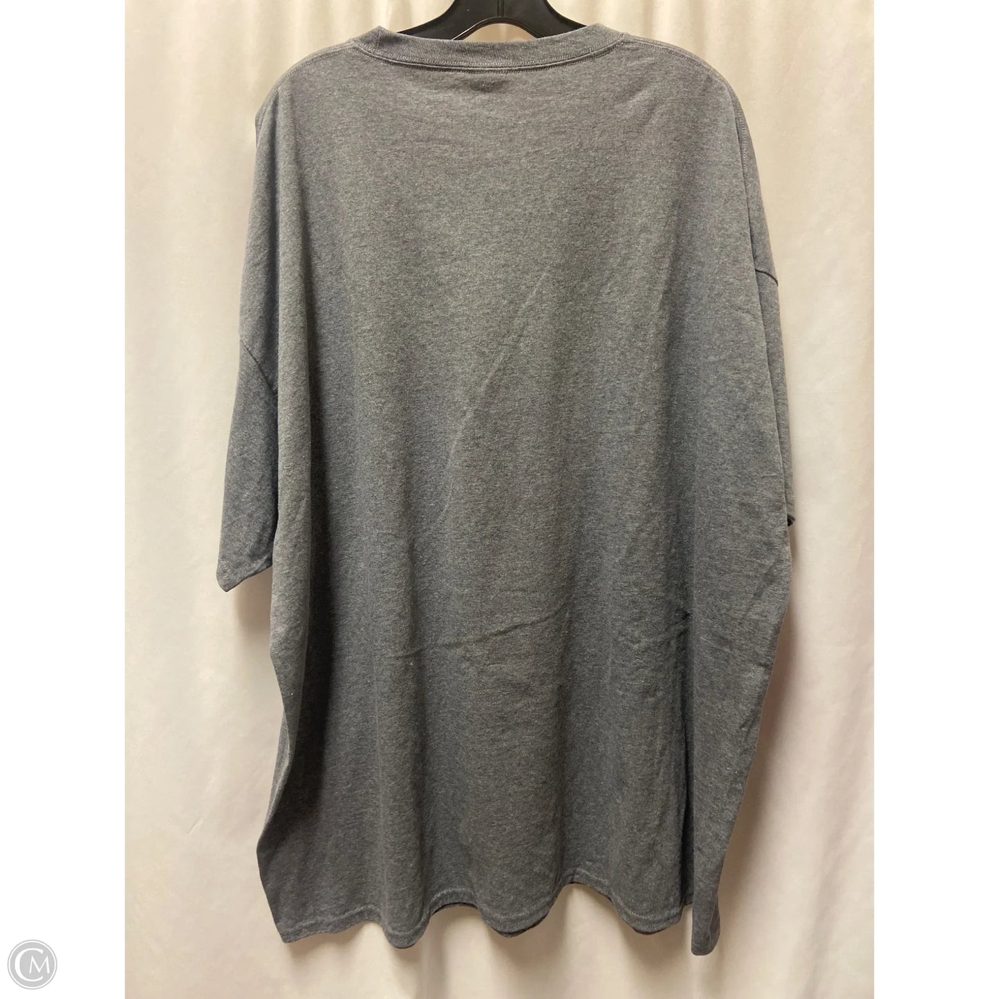 Top Short Sleeve By Clothes Mentor In Grey, Size: 4x