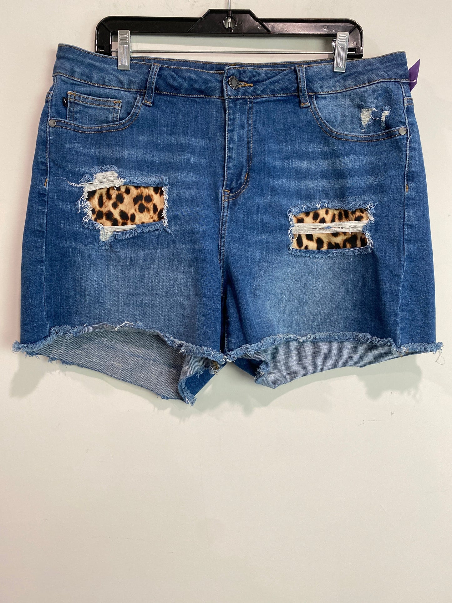 Blue Denim Shorts Judy Blue, Size 2x