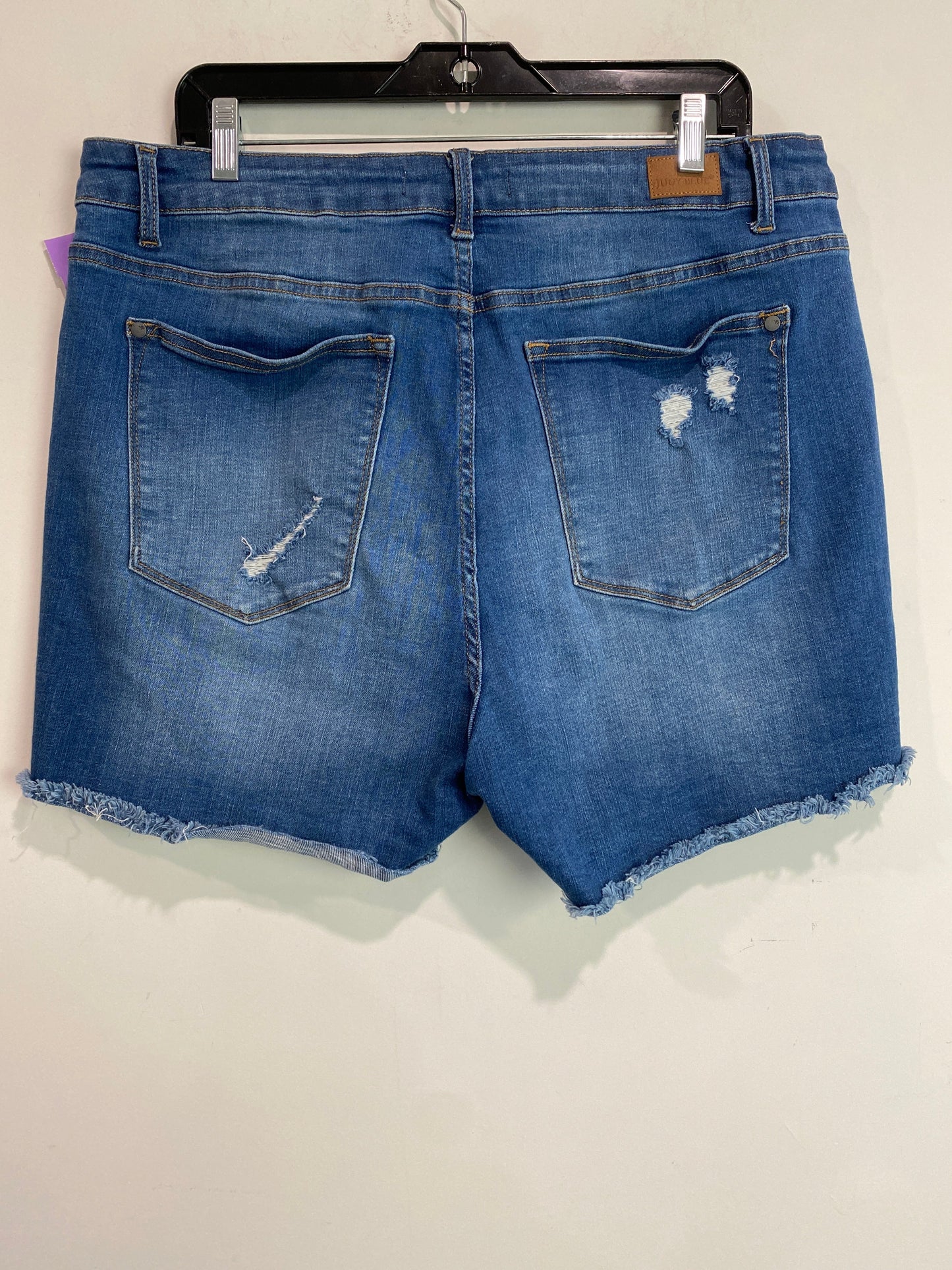 Blue Denim Shorts Judy Blue, Size 2x