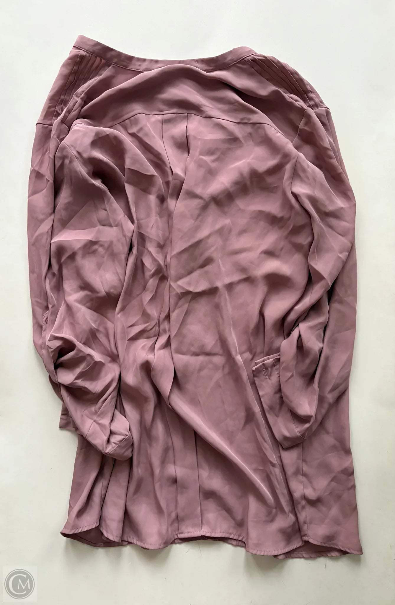 Blouse Long Sleeve By Beverly Drive In Pink, Size: 1x