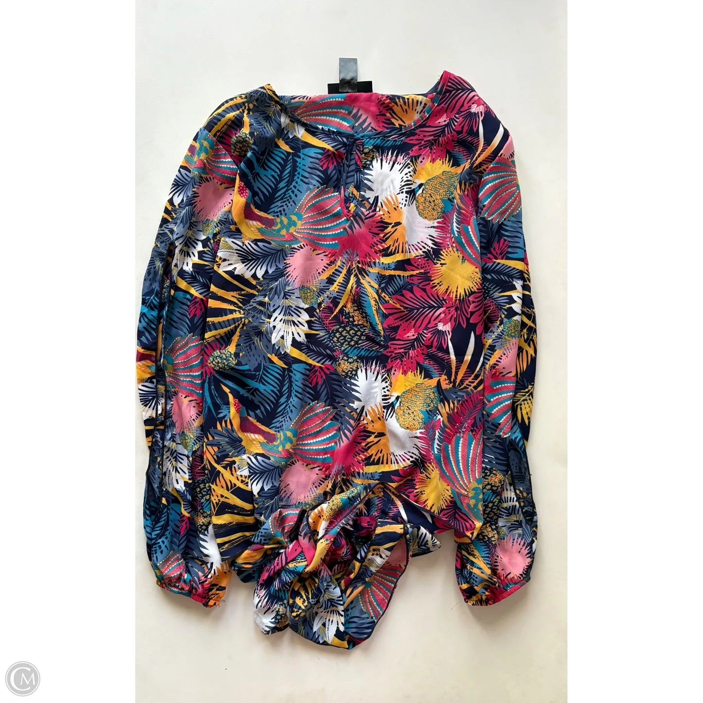 Blouse Long Sleeve By Ashley Stewart In Multi-colored, Size: Xl