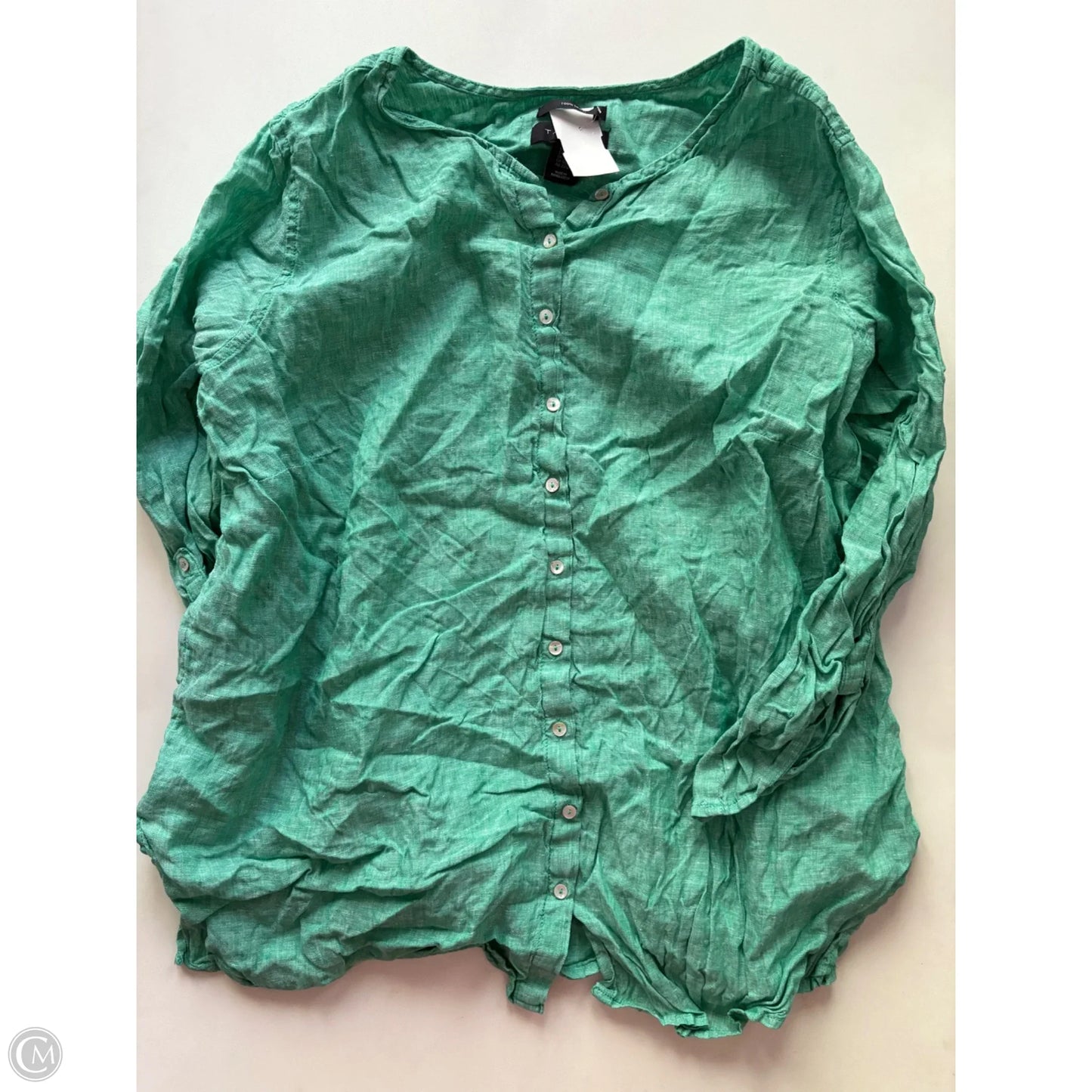 Top Long Sleeve By Tahari By Arthur Levine In Green, Size: 2x