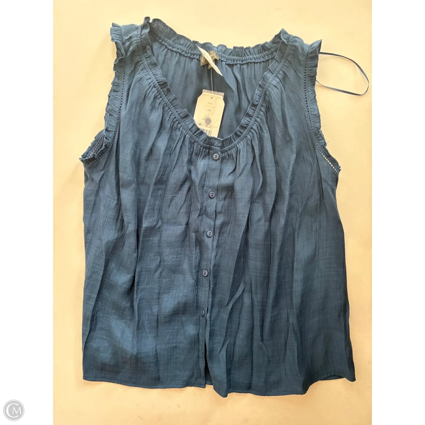 Top Sleeveless By Wonderly In Blue, Size: 1x