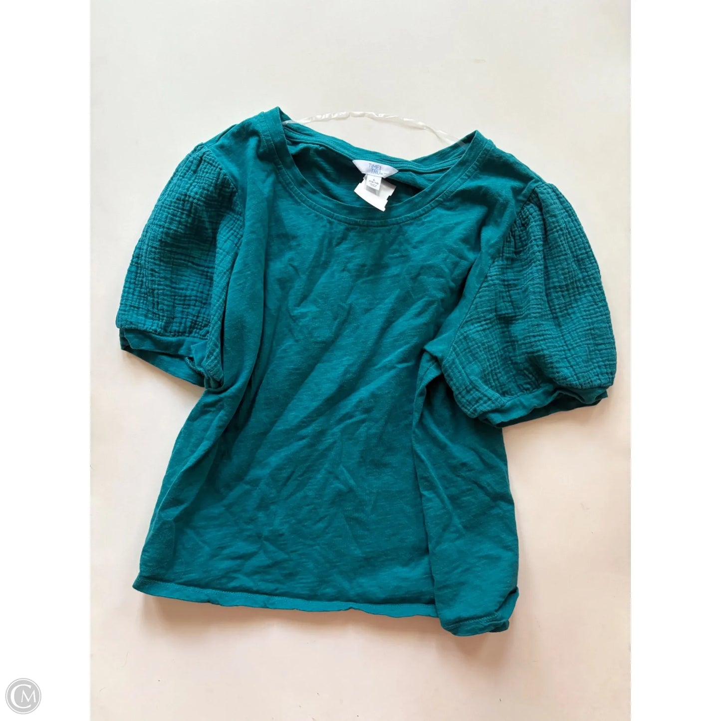 Top Short Sleeve By Time And Tru In Blue, Size: L